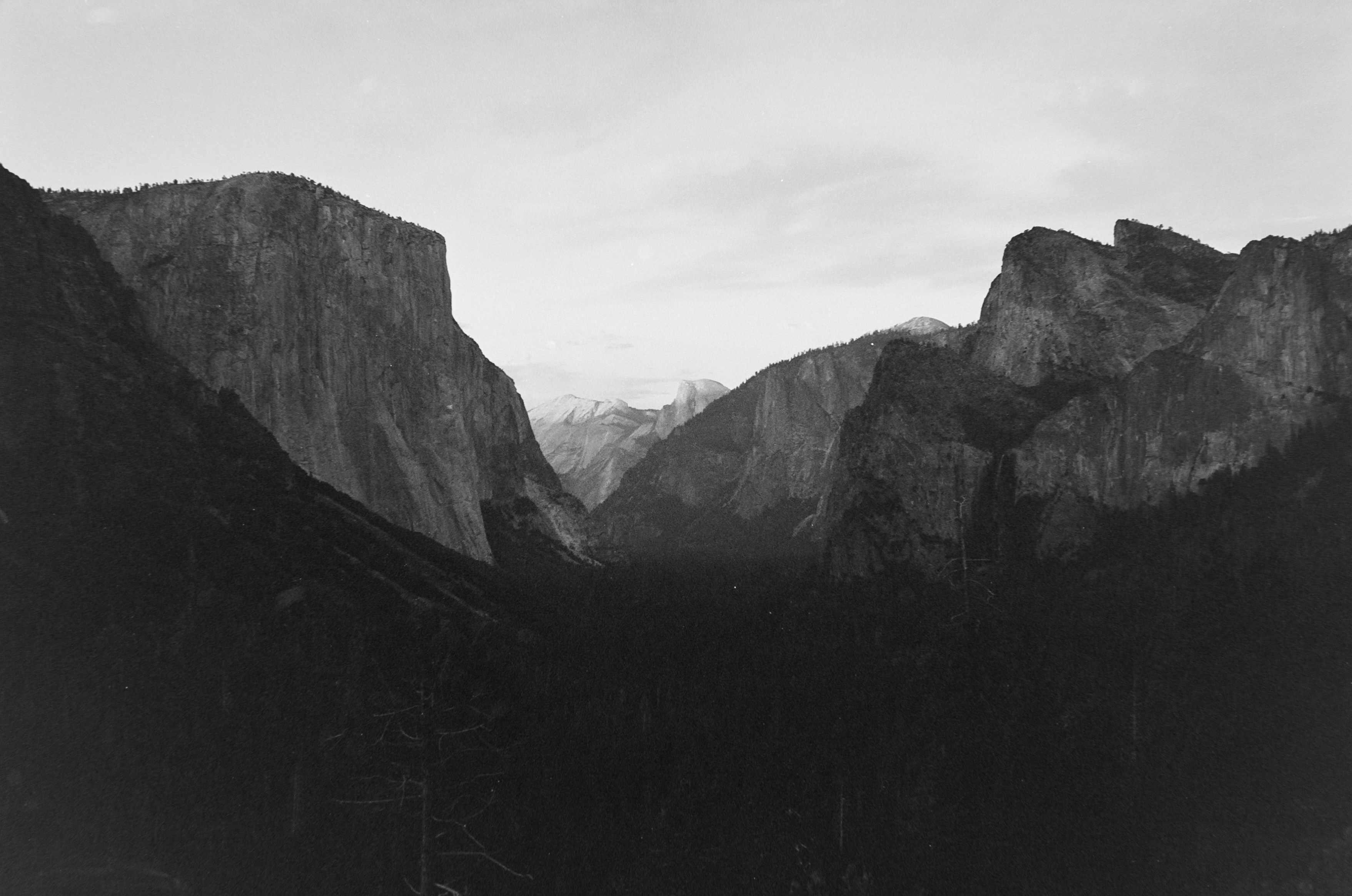 Photo by theguccer2100