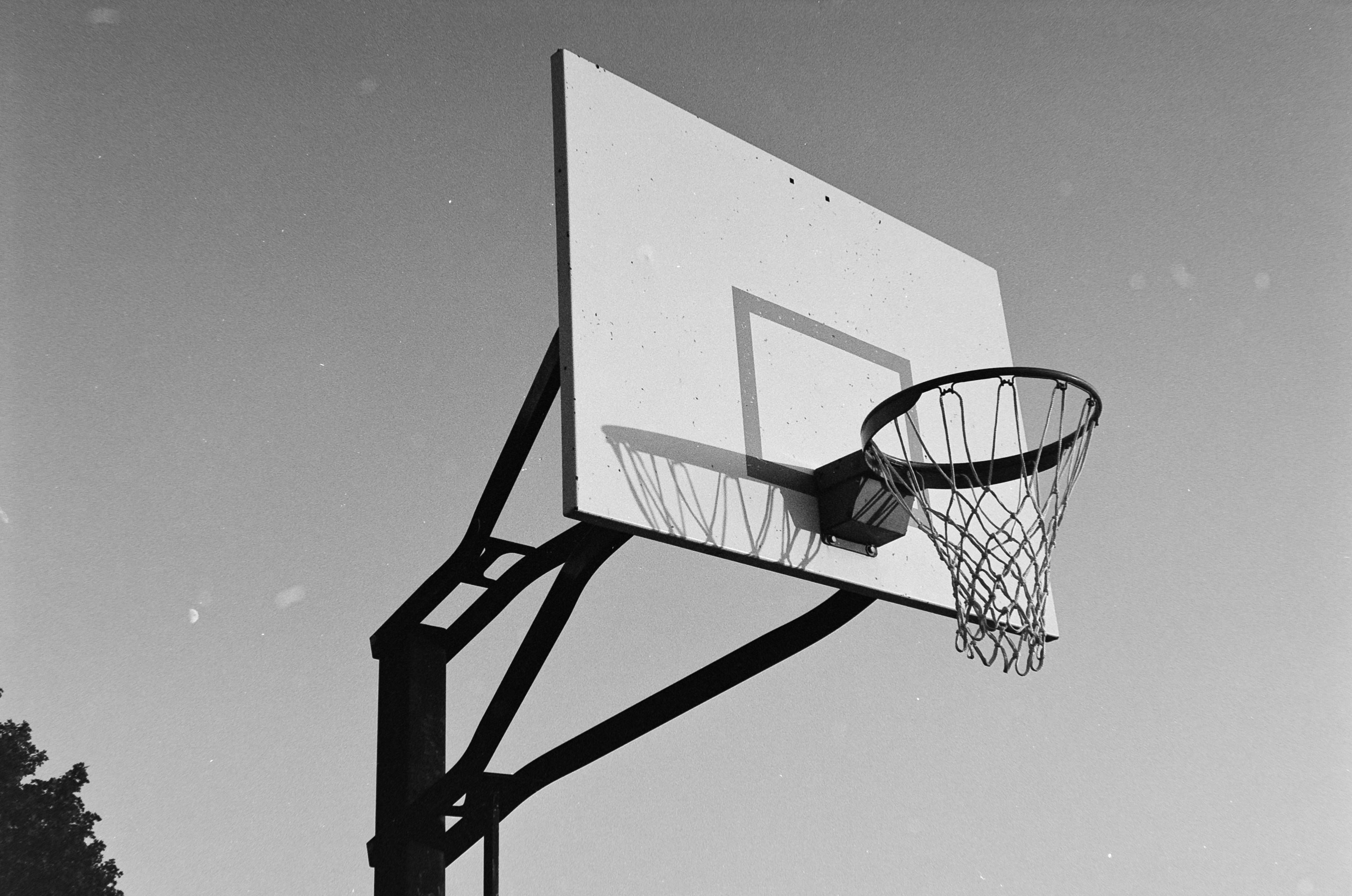 Photo by theguccer2100