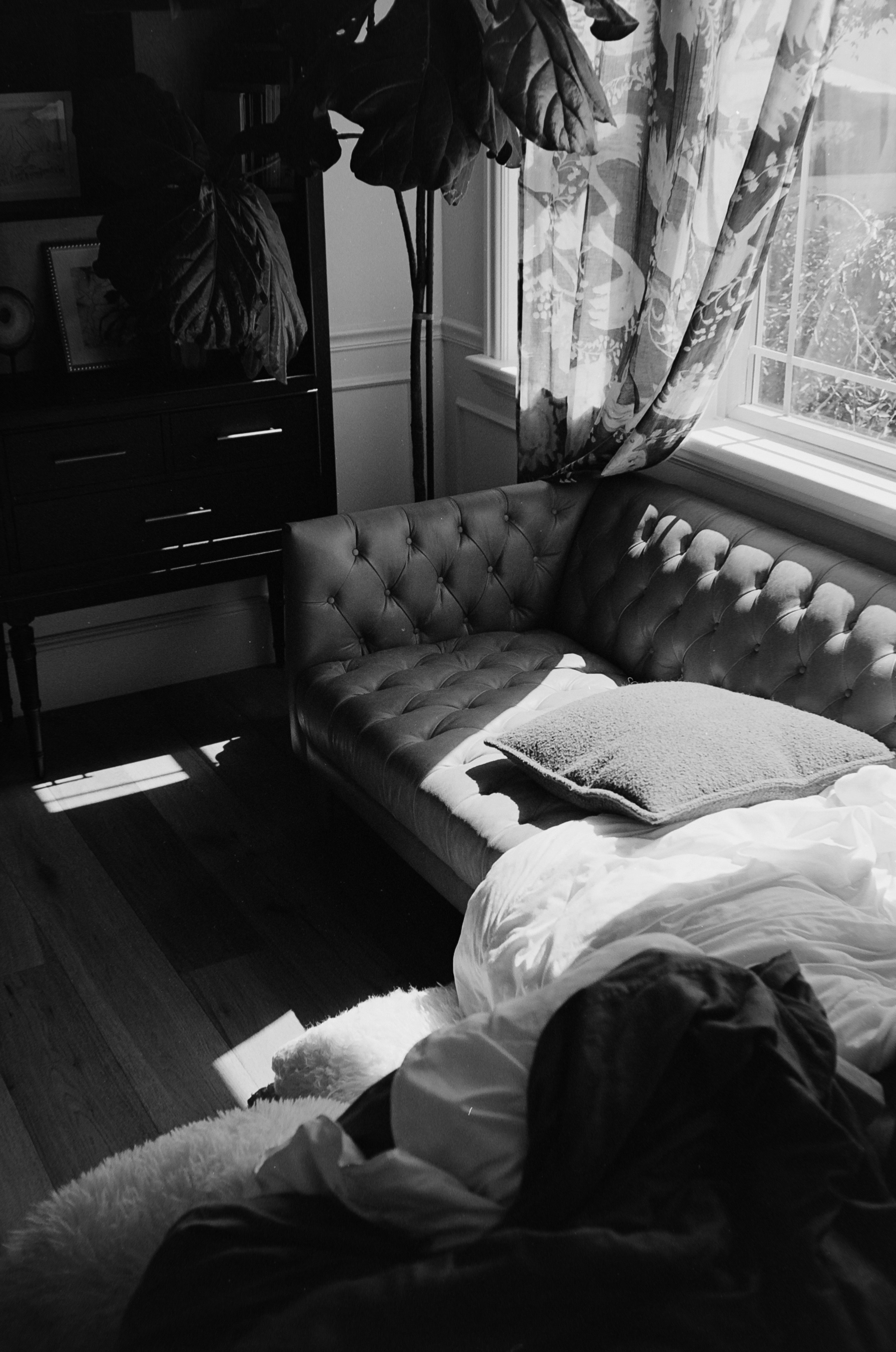 A tufted sofa with pillows and blankets near a window.