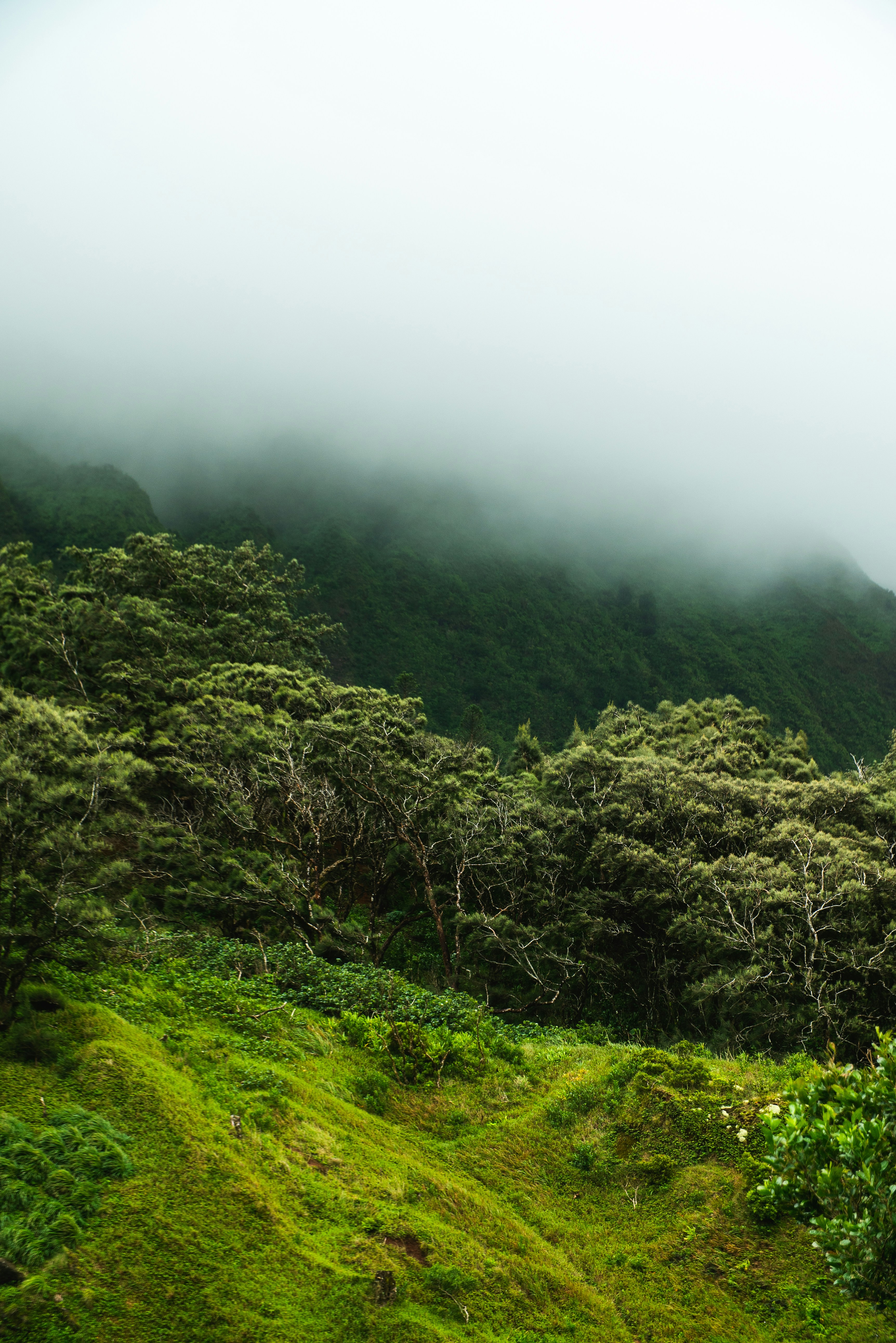 Photo by robertography