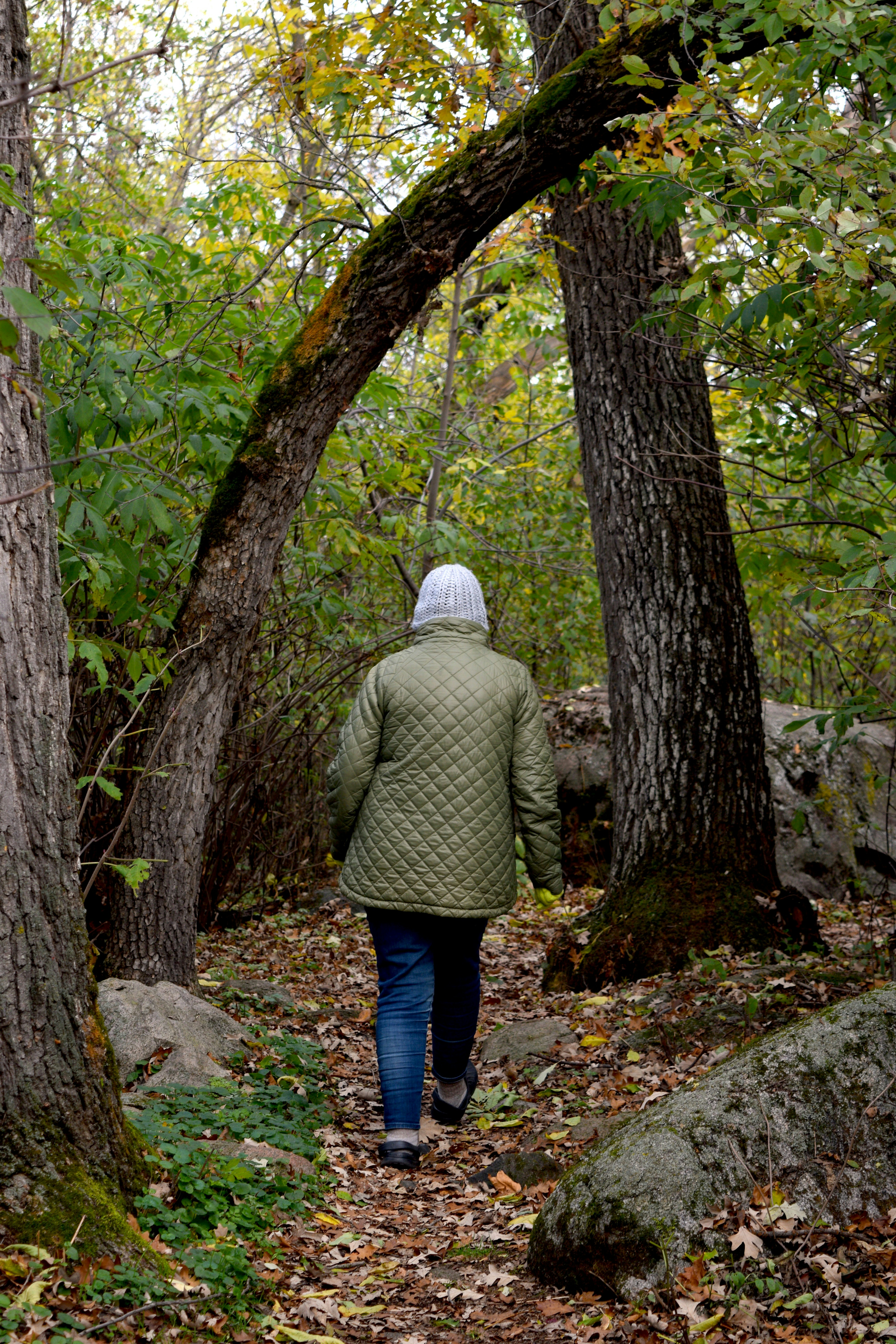Person walking on a path through autumn woods.