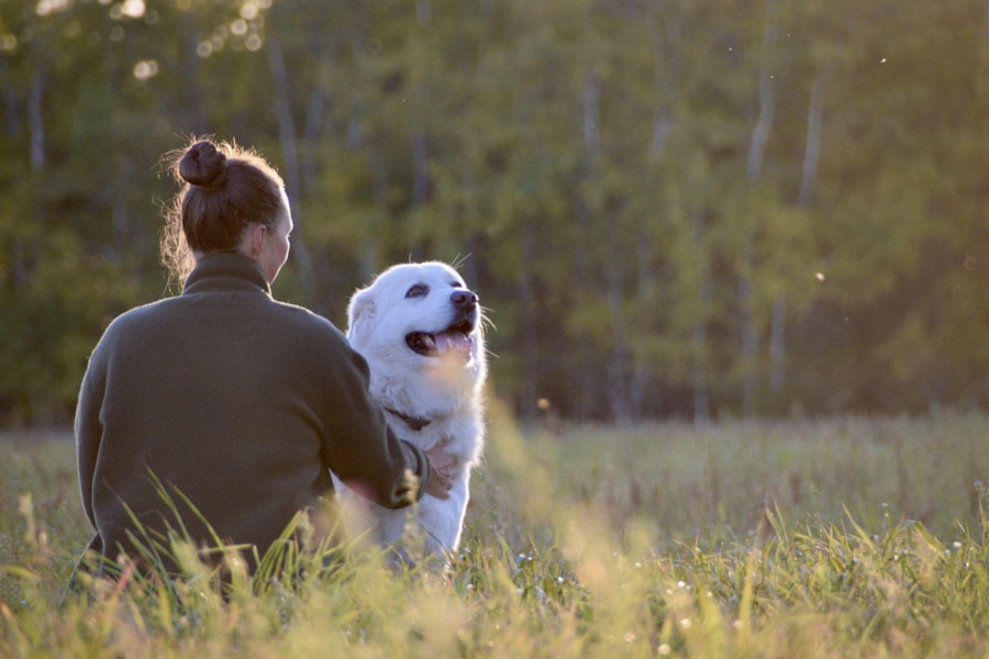 Happy well-trained puppy with proud owner