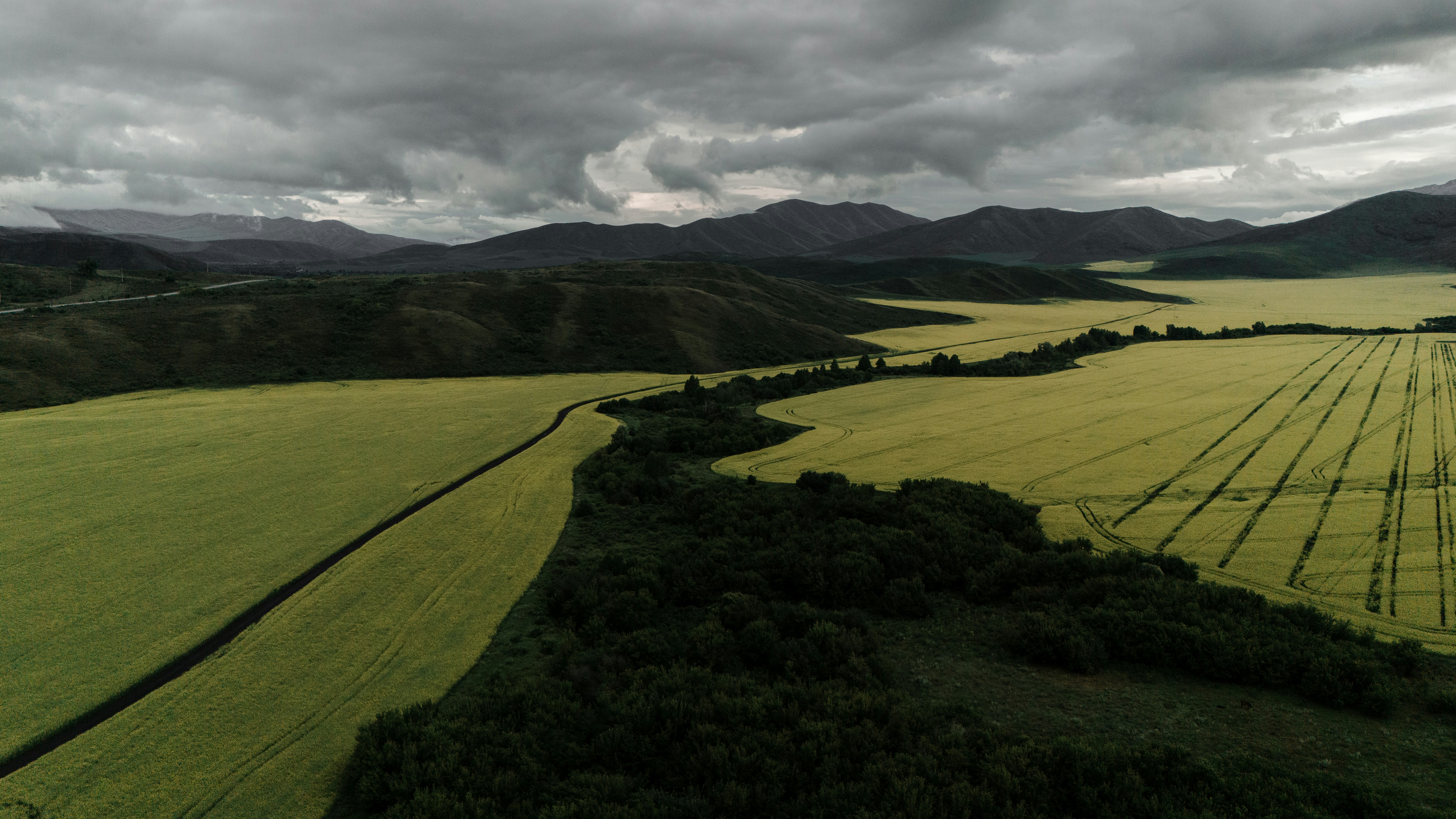 Yellow fields and dark mountains under cloudy sky