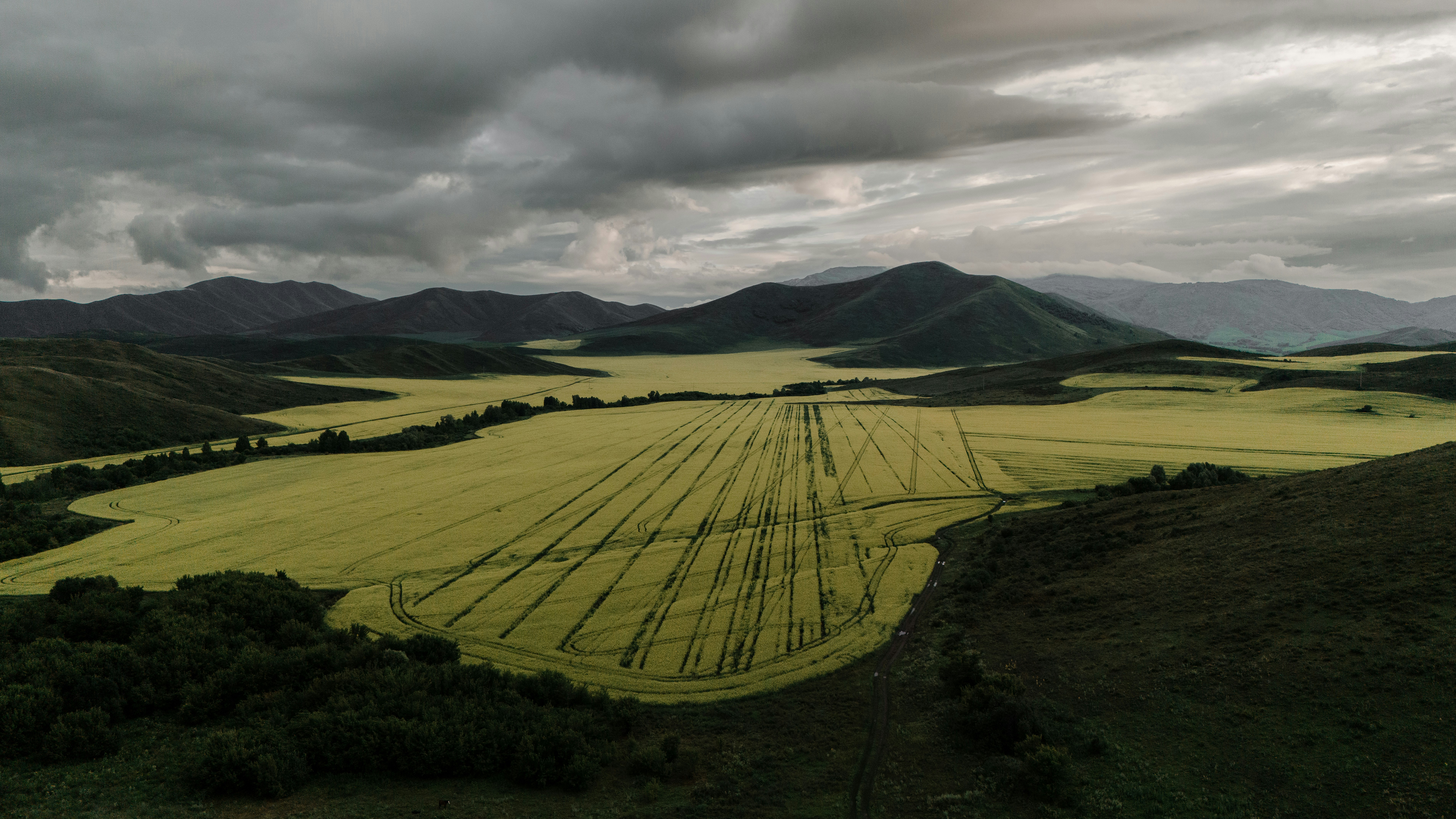 Vast yellow field under dramatic stormy sky