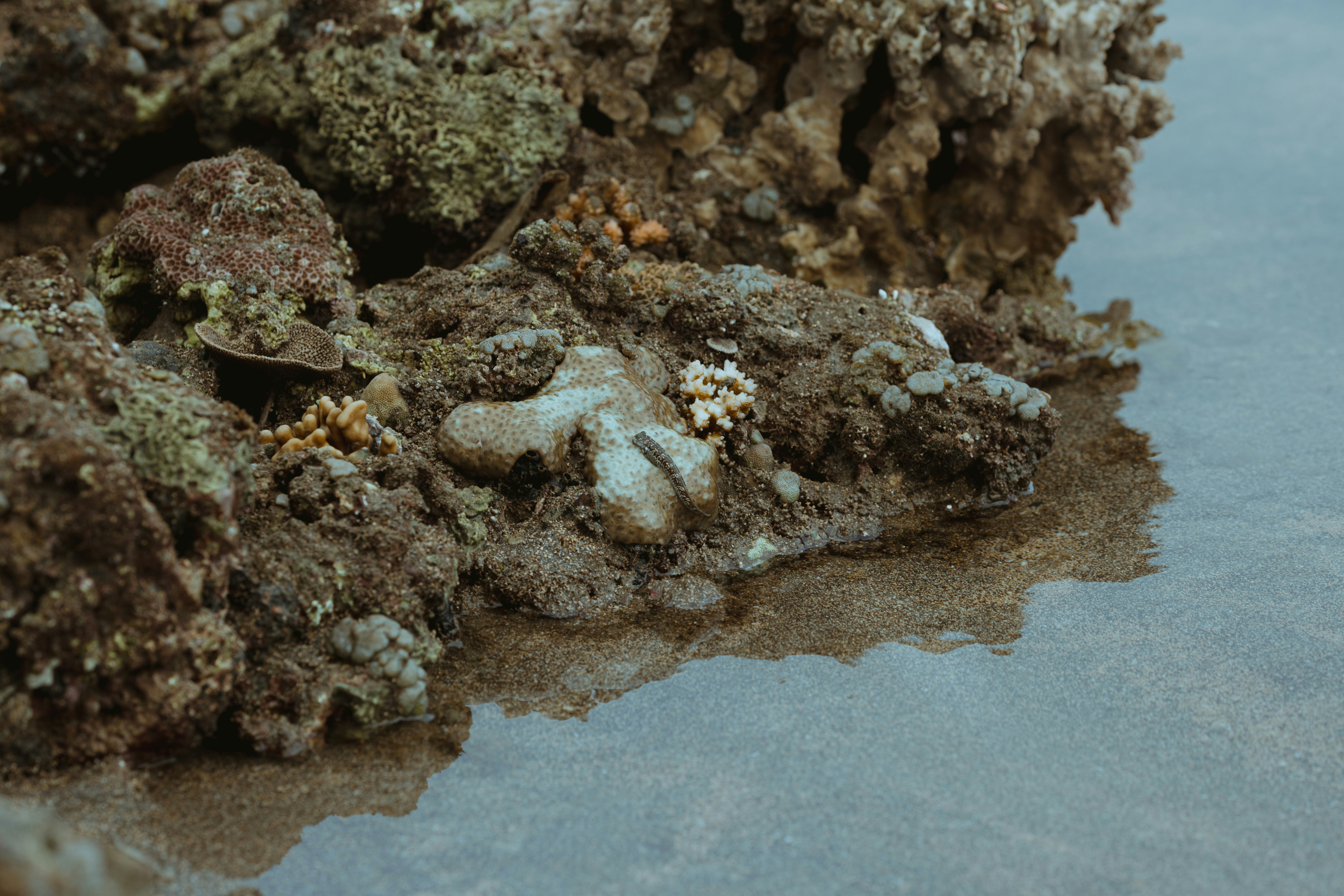 Photo by the_traveler_with_a_romantic_twist