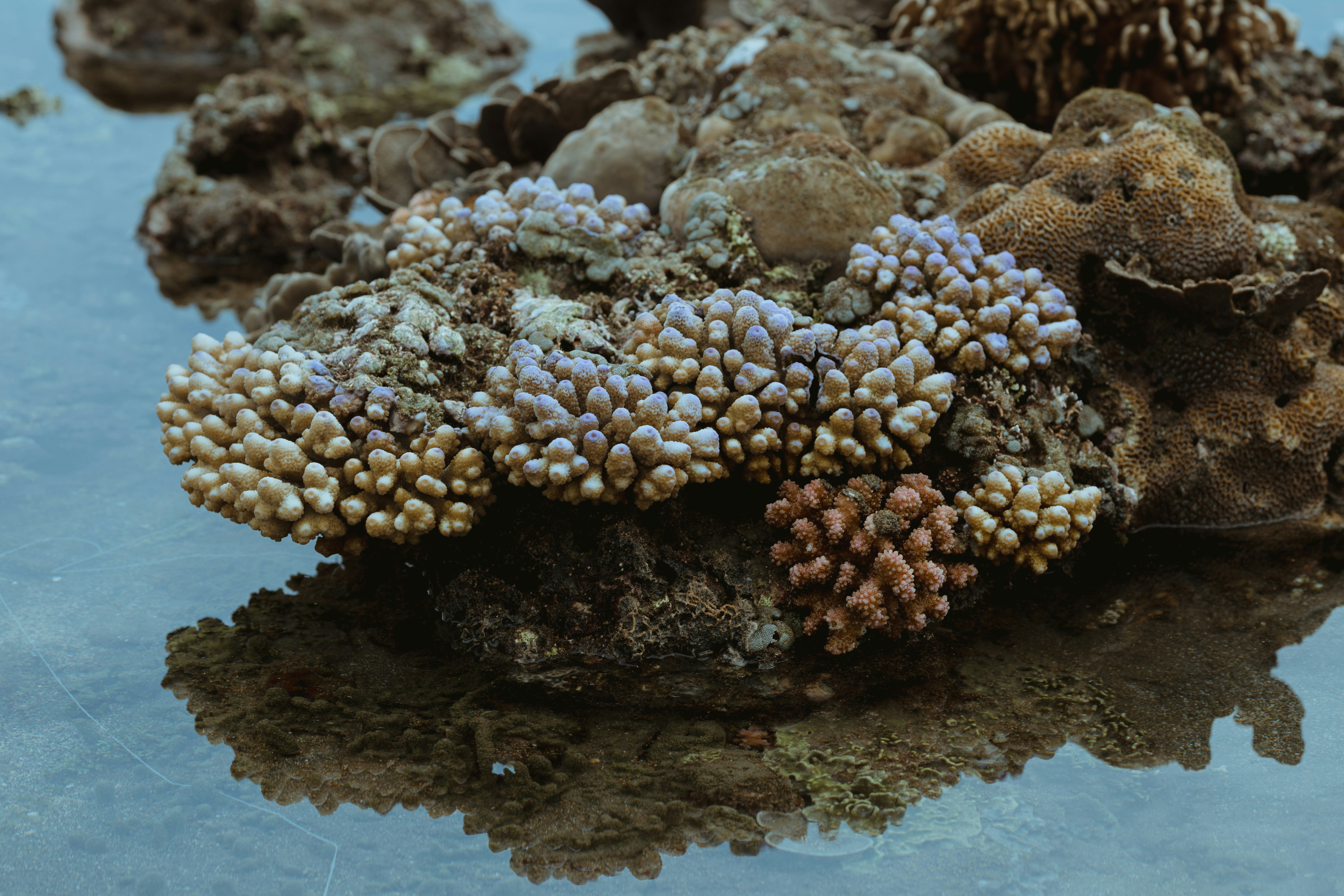 Photo by the_traveler_with_a_romantic_twist