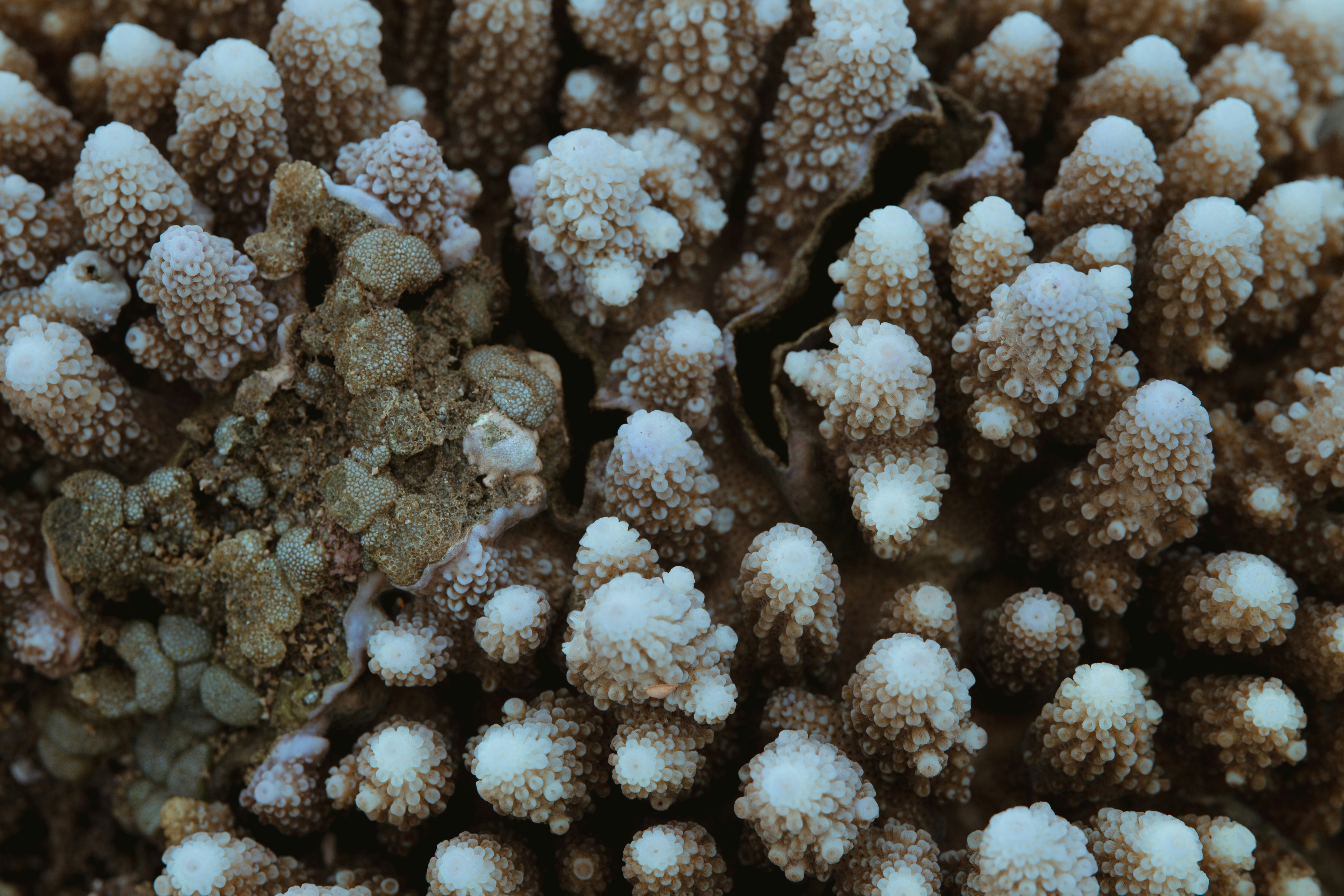 Photo by the_traveler_with_a_romantic_twist