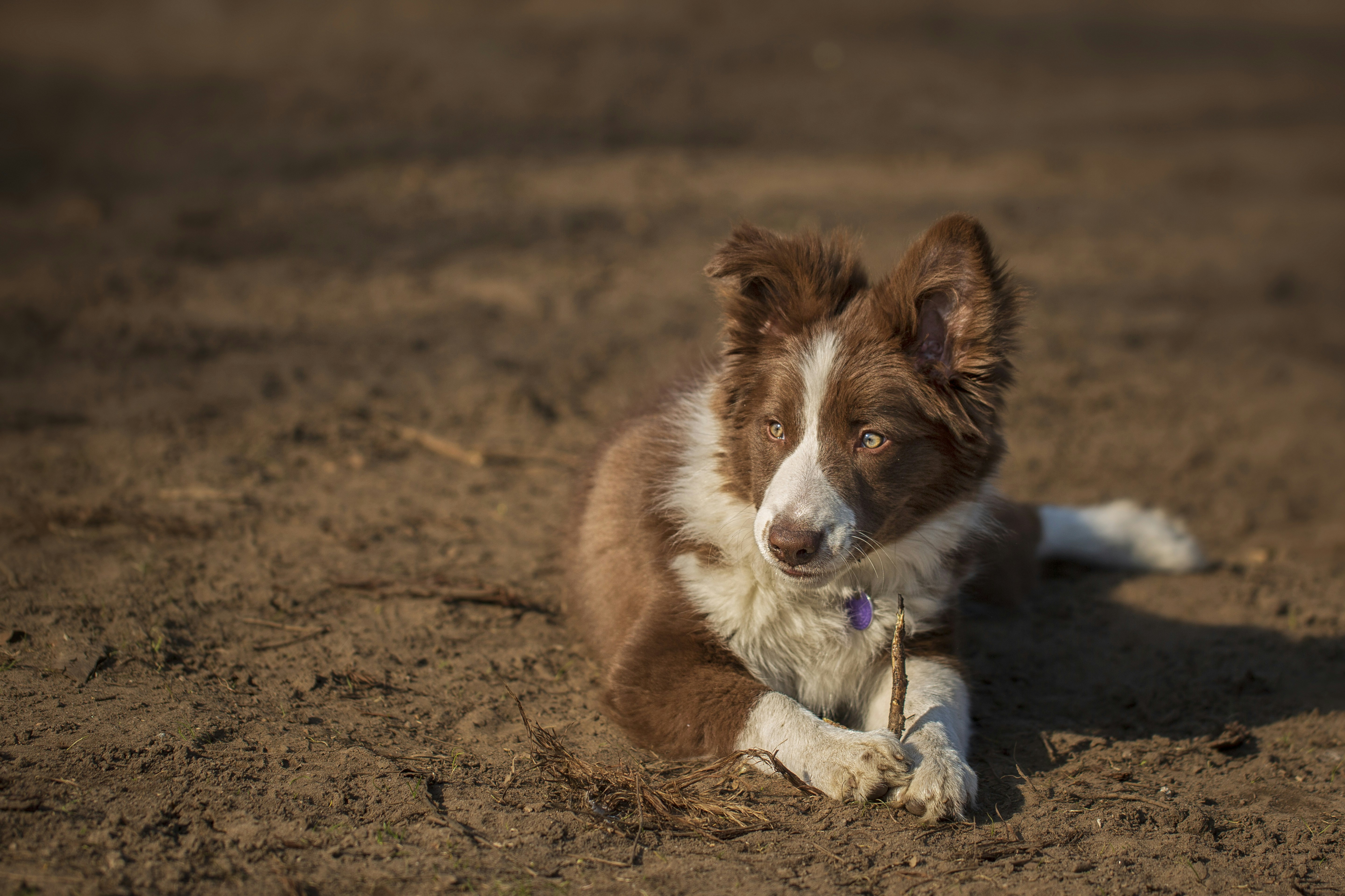 The Rise of Experience-First Toys: Gifts That Turn into Activities