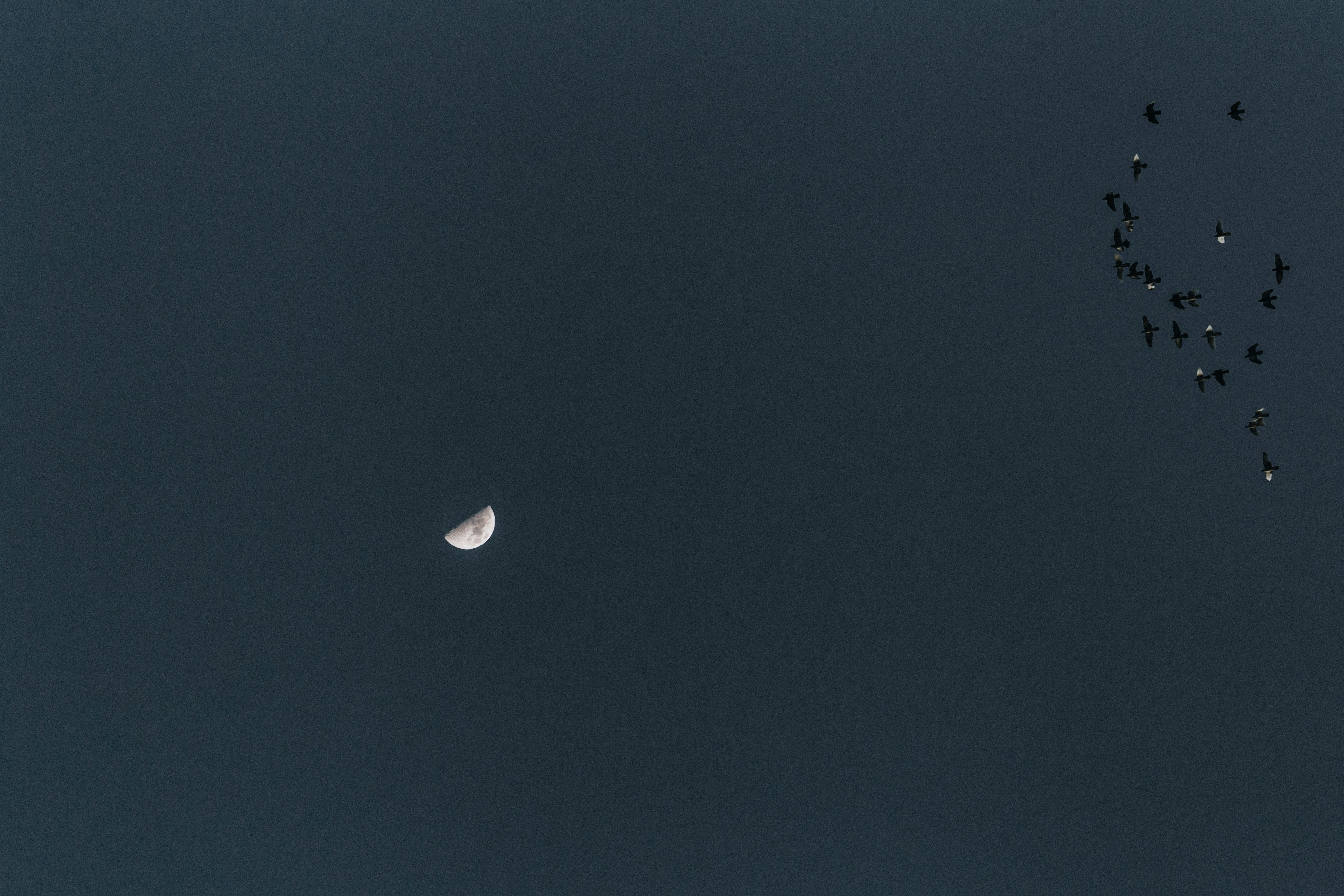 Photo by the_traveler_with_a_romantic_twist