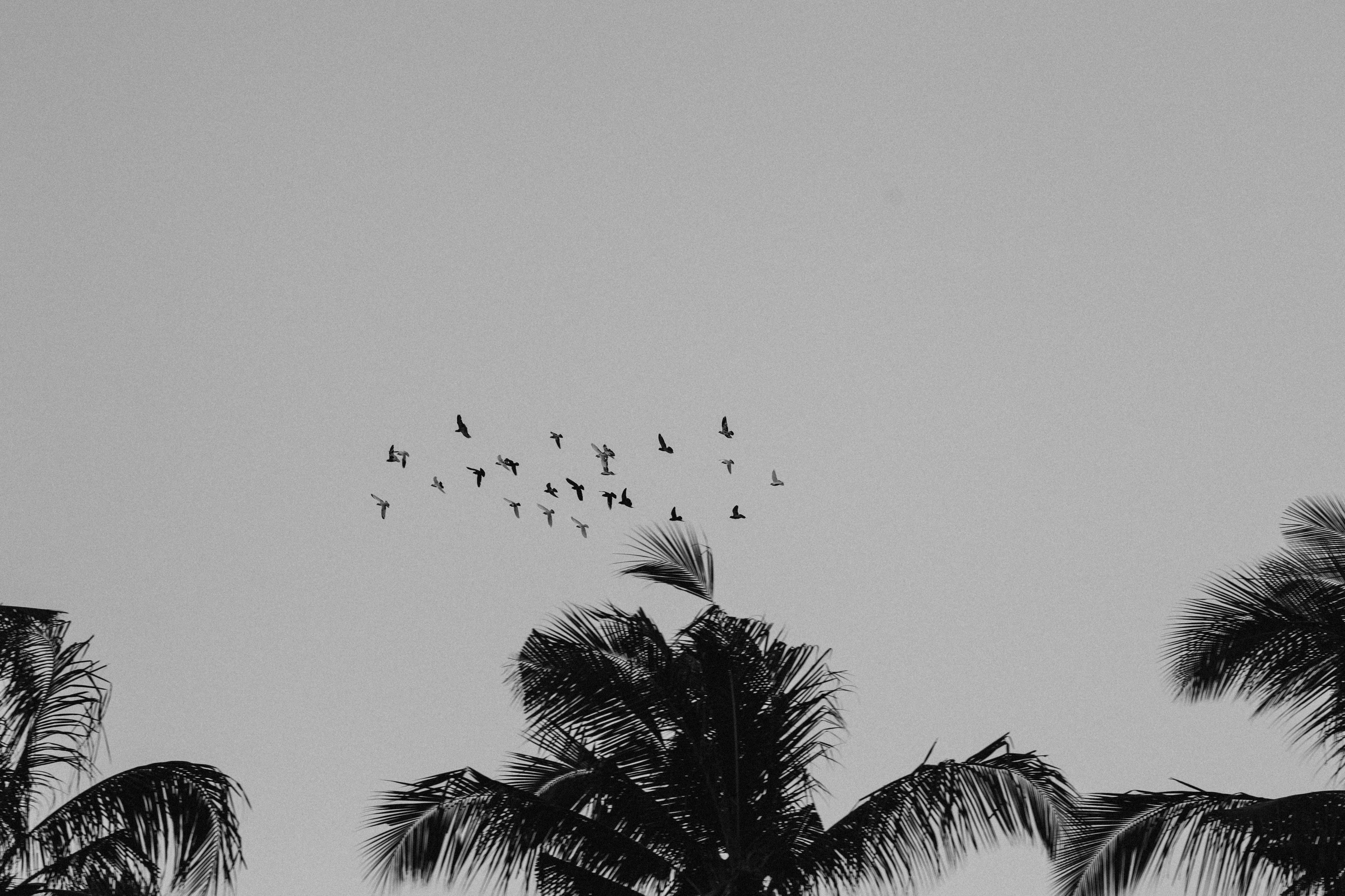 Photo by the_traveler_with_a_romantic_twist