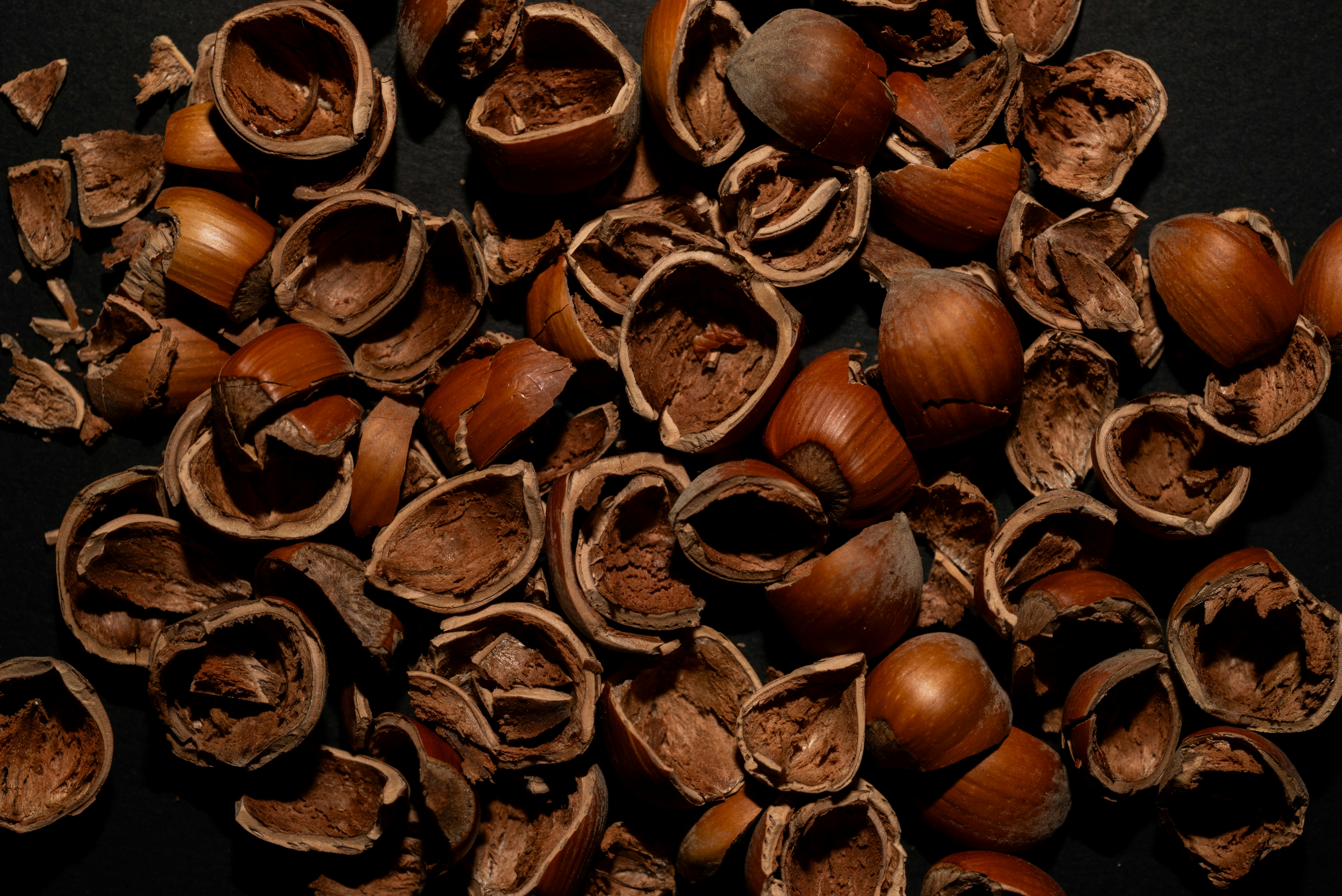 Pile of cracked hazelnut shells on a dark surface