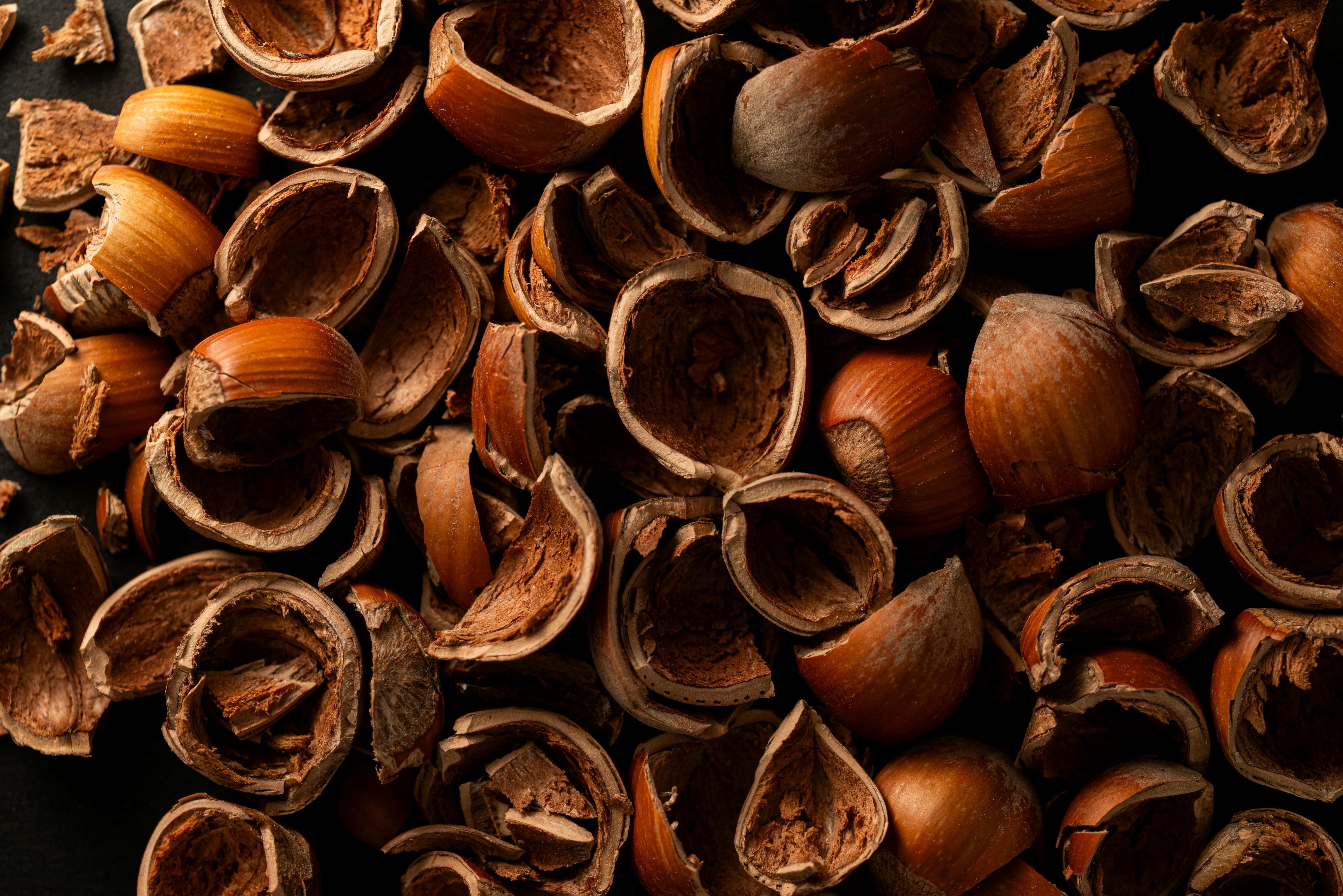 Photo by andrilliardbond