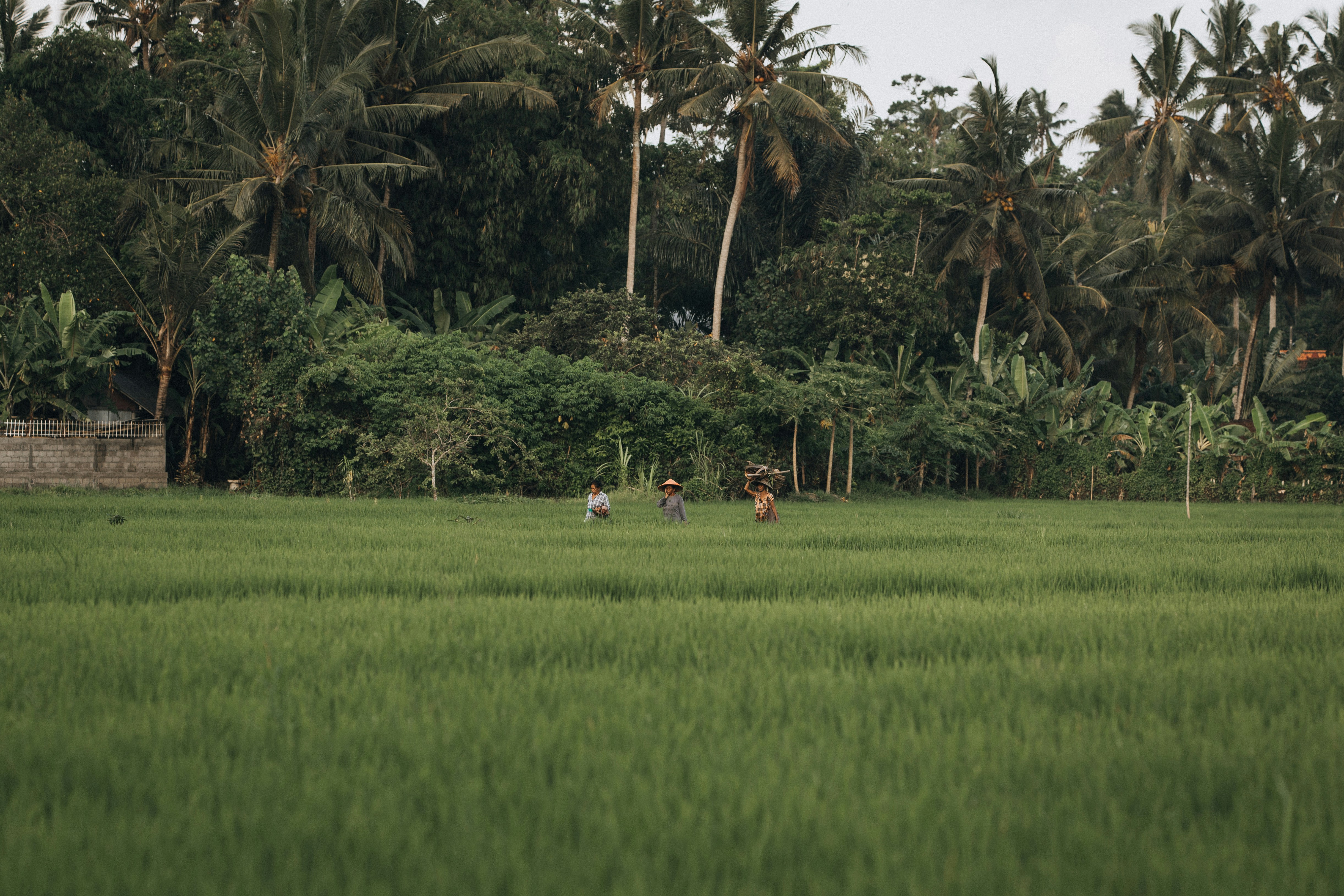 Photo by the_traveler_with_a_romantic_twist