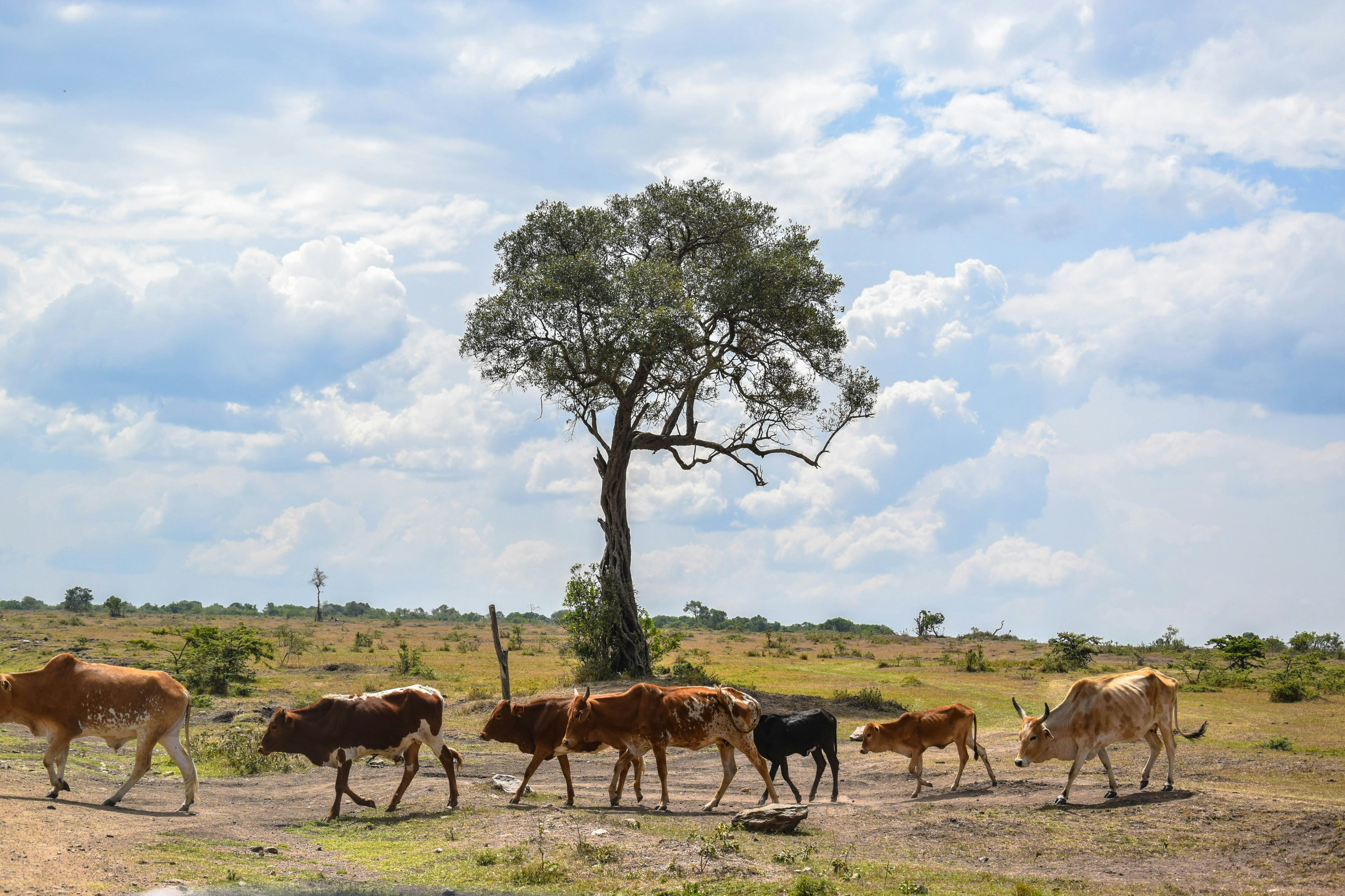 Photo by capt_seaman