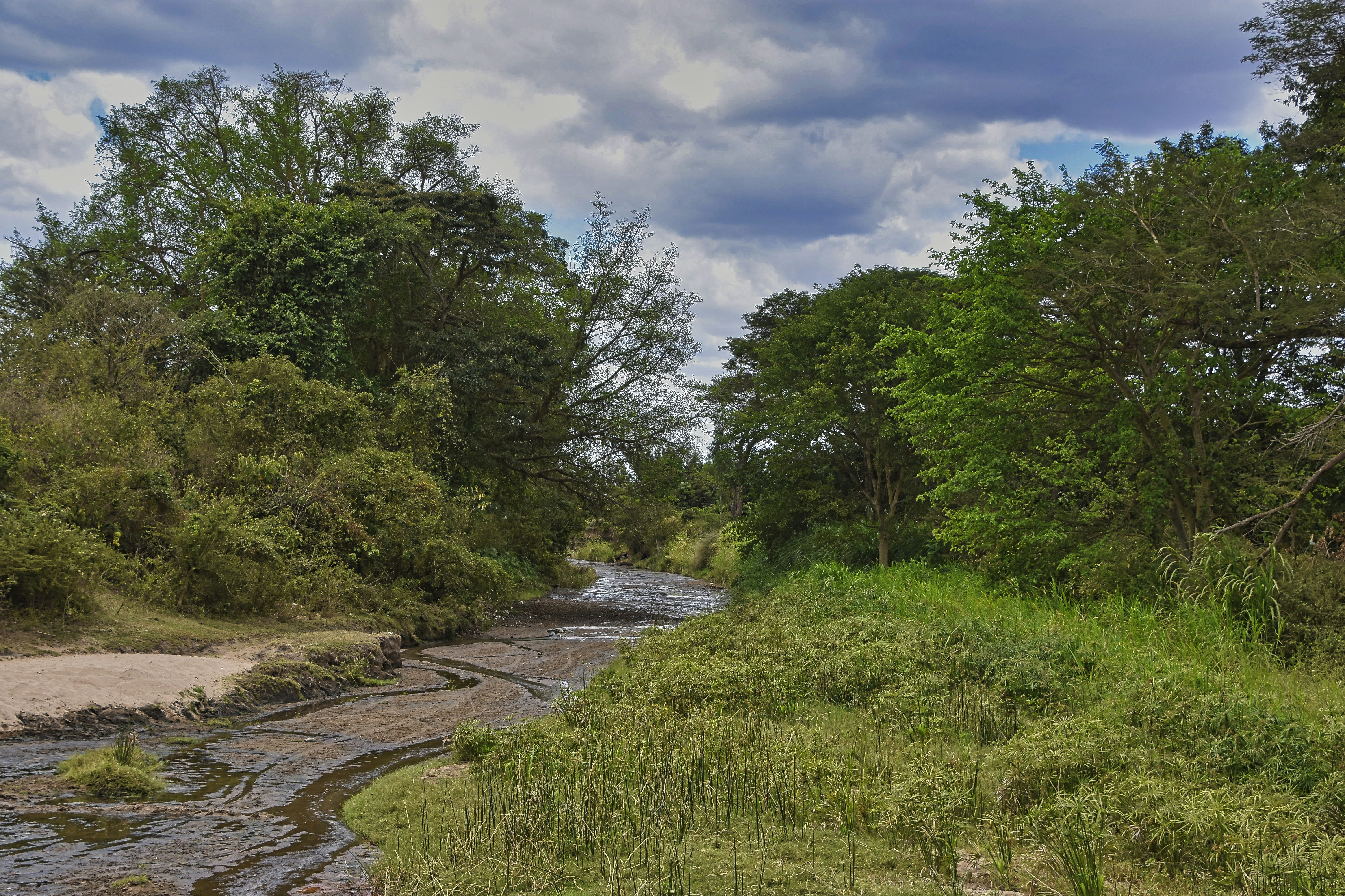 Photo by capt_seaman