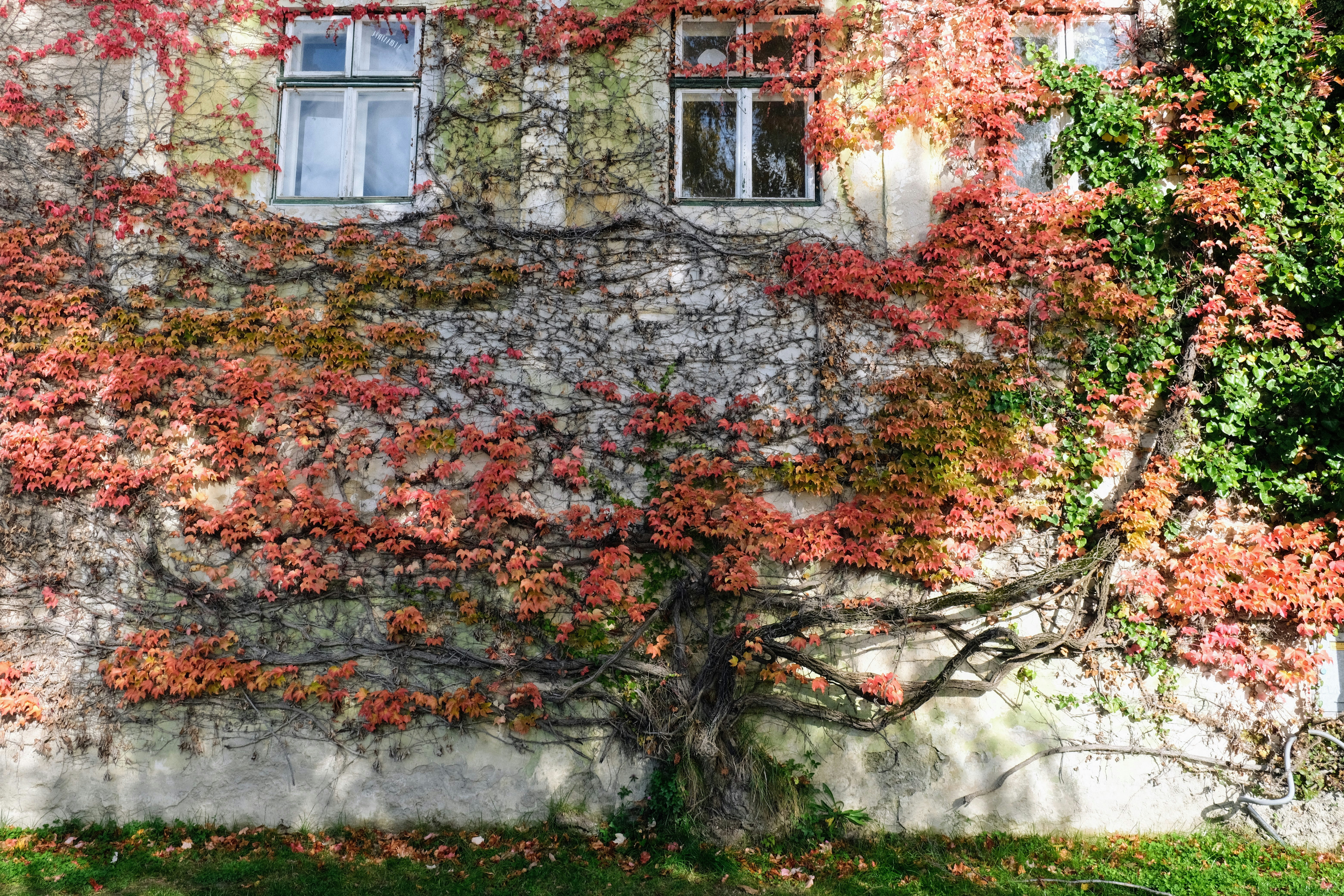 Photo by abdurahmanus