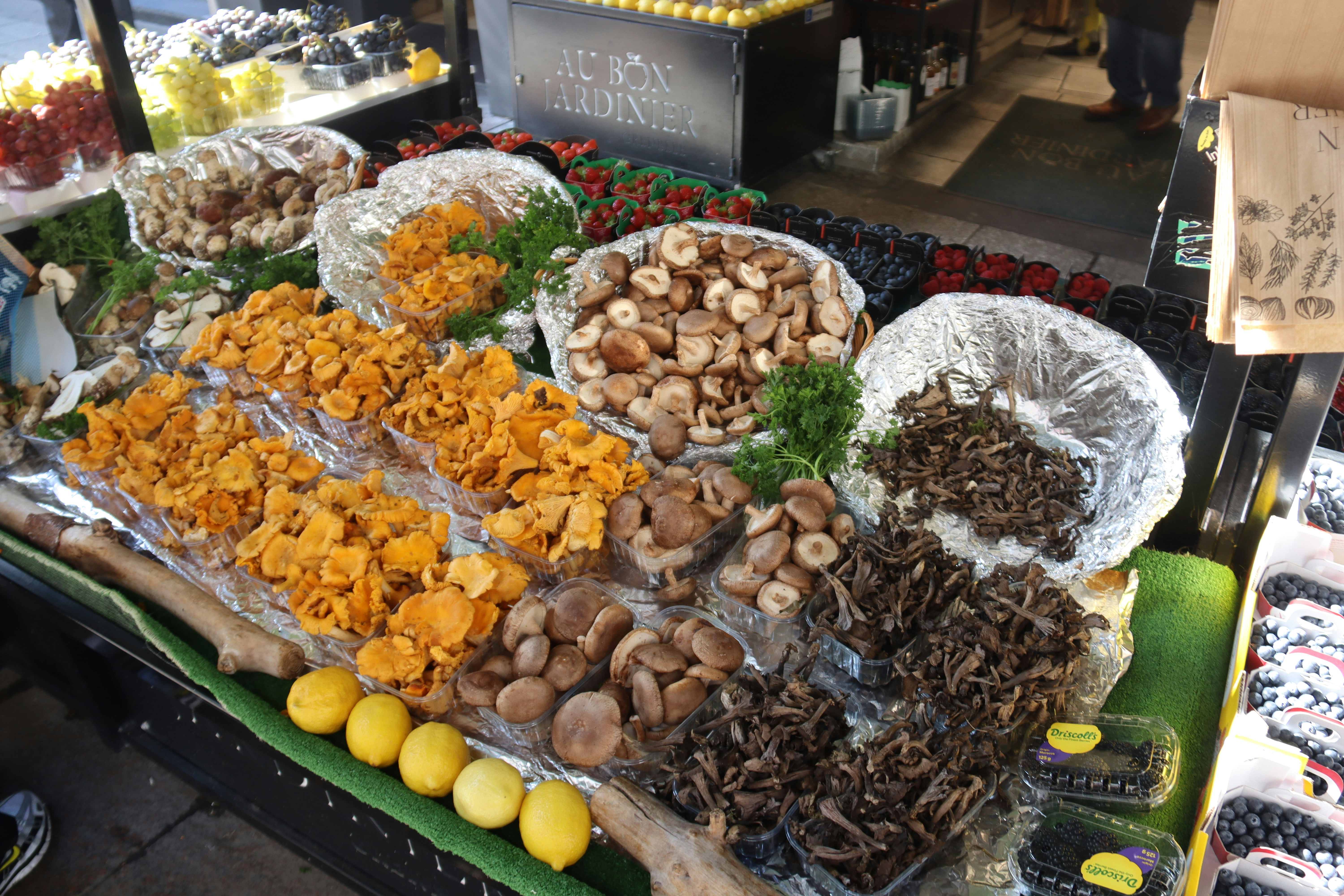 Investissement locatif Marseille quartiers étudiants colocation rendement immobilier