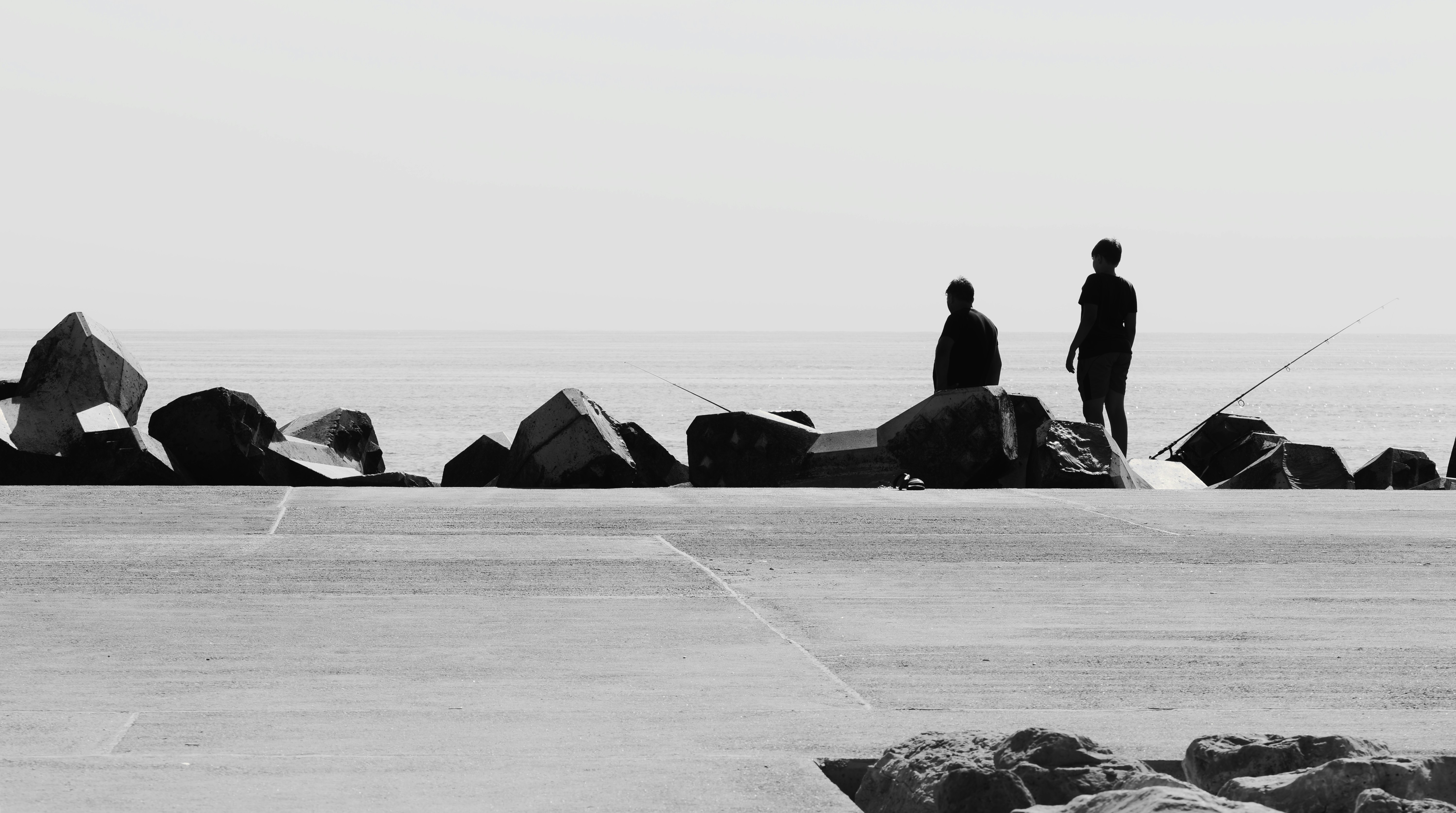 Photo by gabimedia
