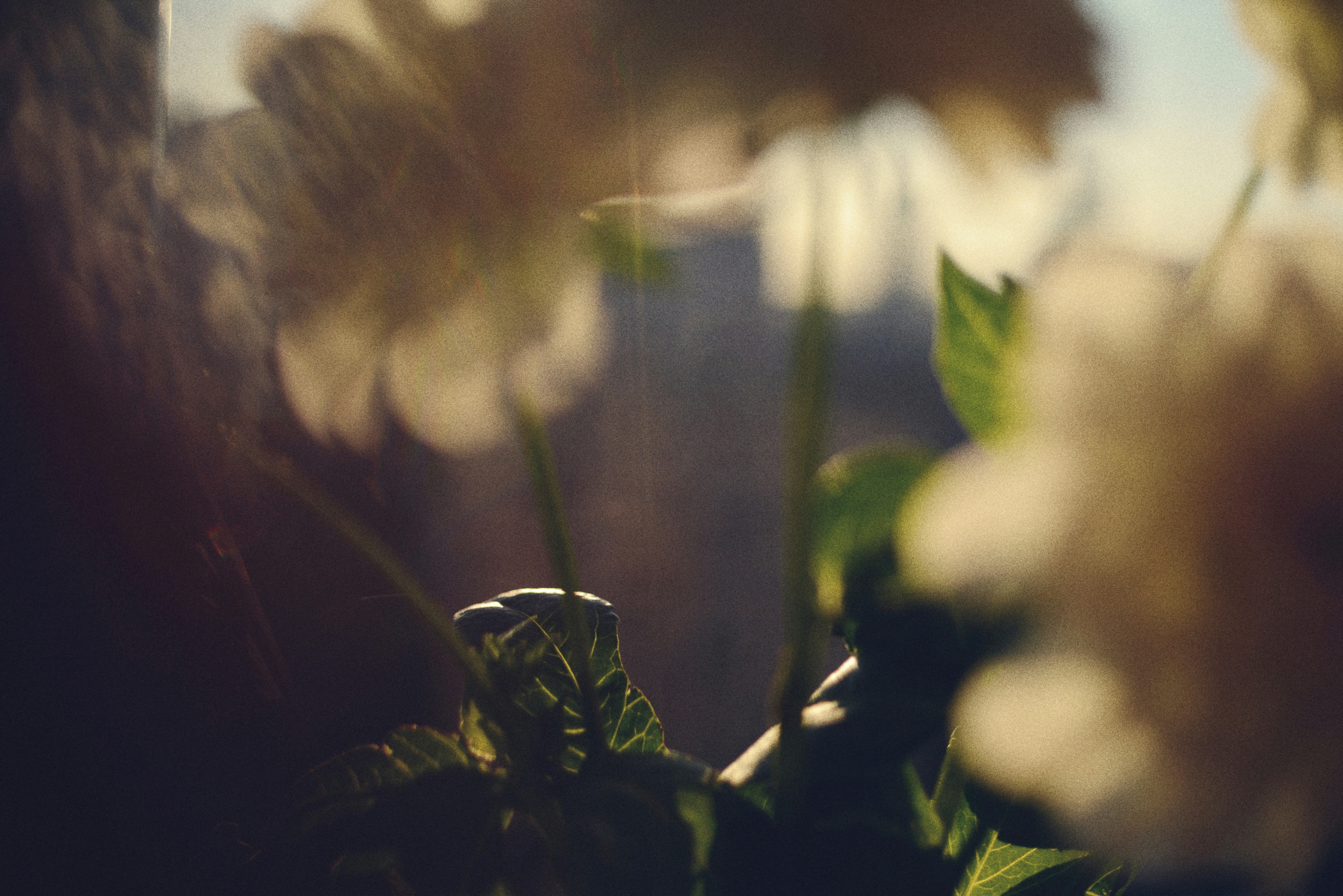 Photo by cherstve_pechivo