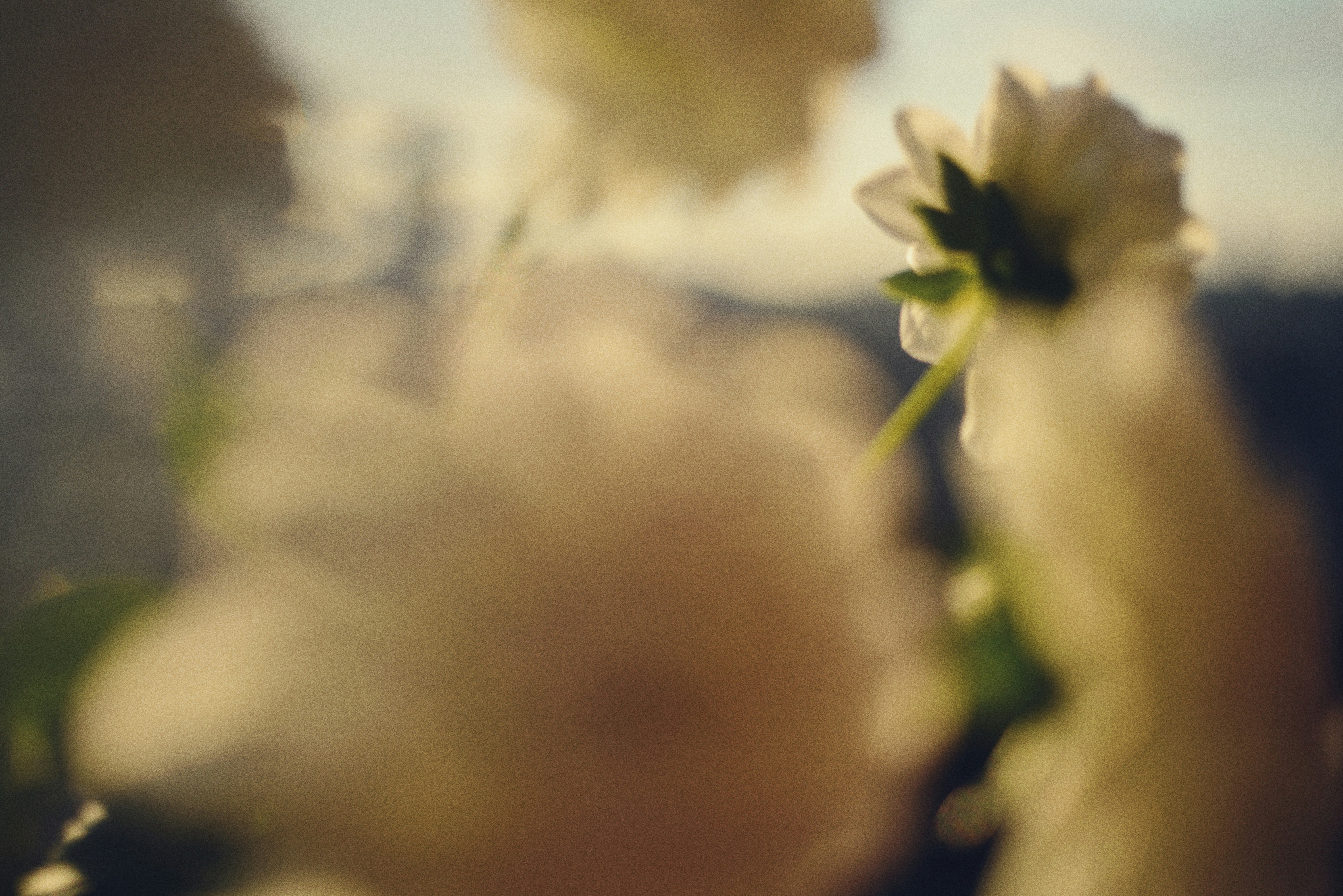 Photo by cherstve_pechivo