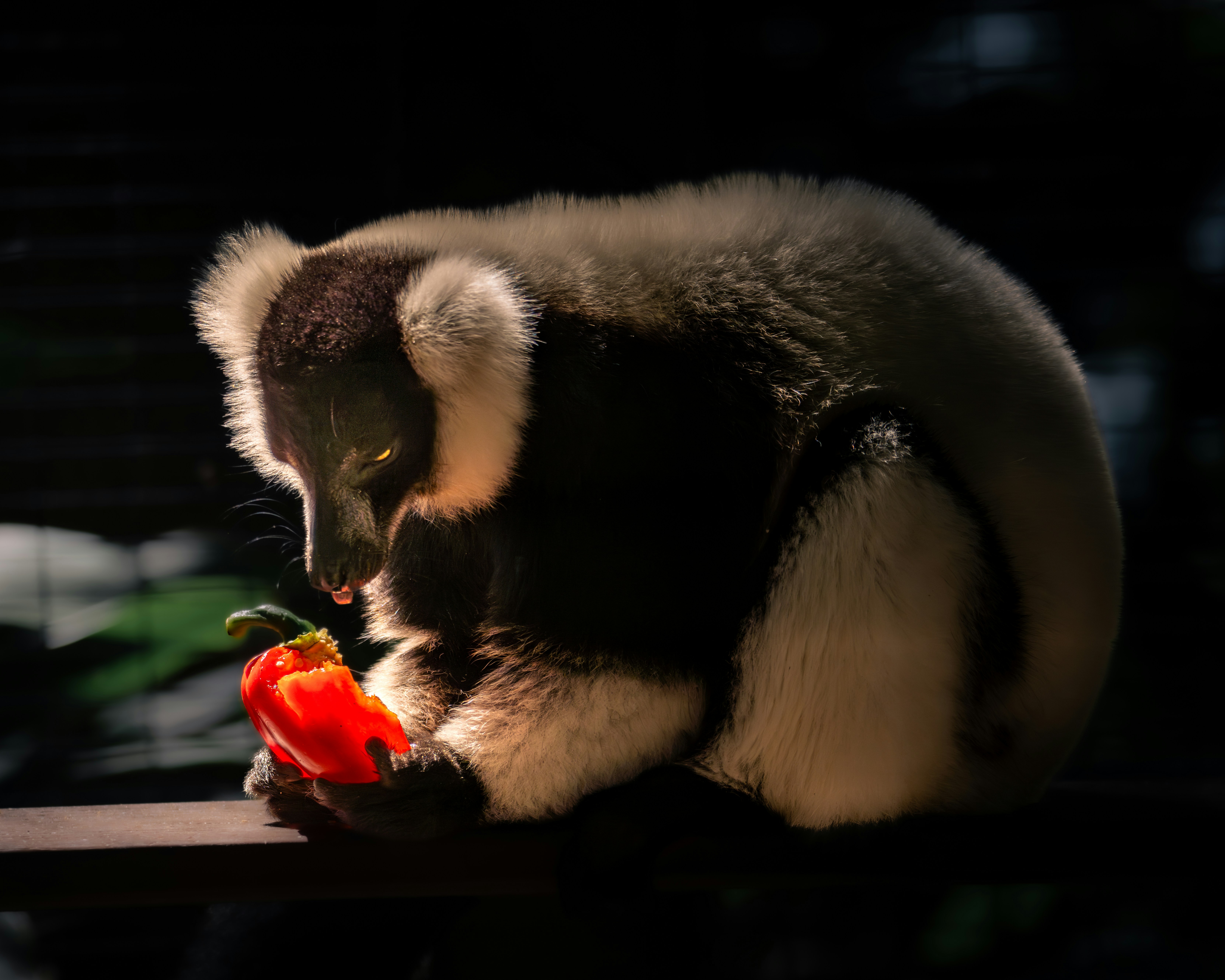 美食攝影的晚餐場景佈置：暗調光線與氣氛燈怎麼搭才像餐廳大片？：很多人踩的坑：為什麼你拍出來像便當店？