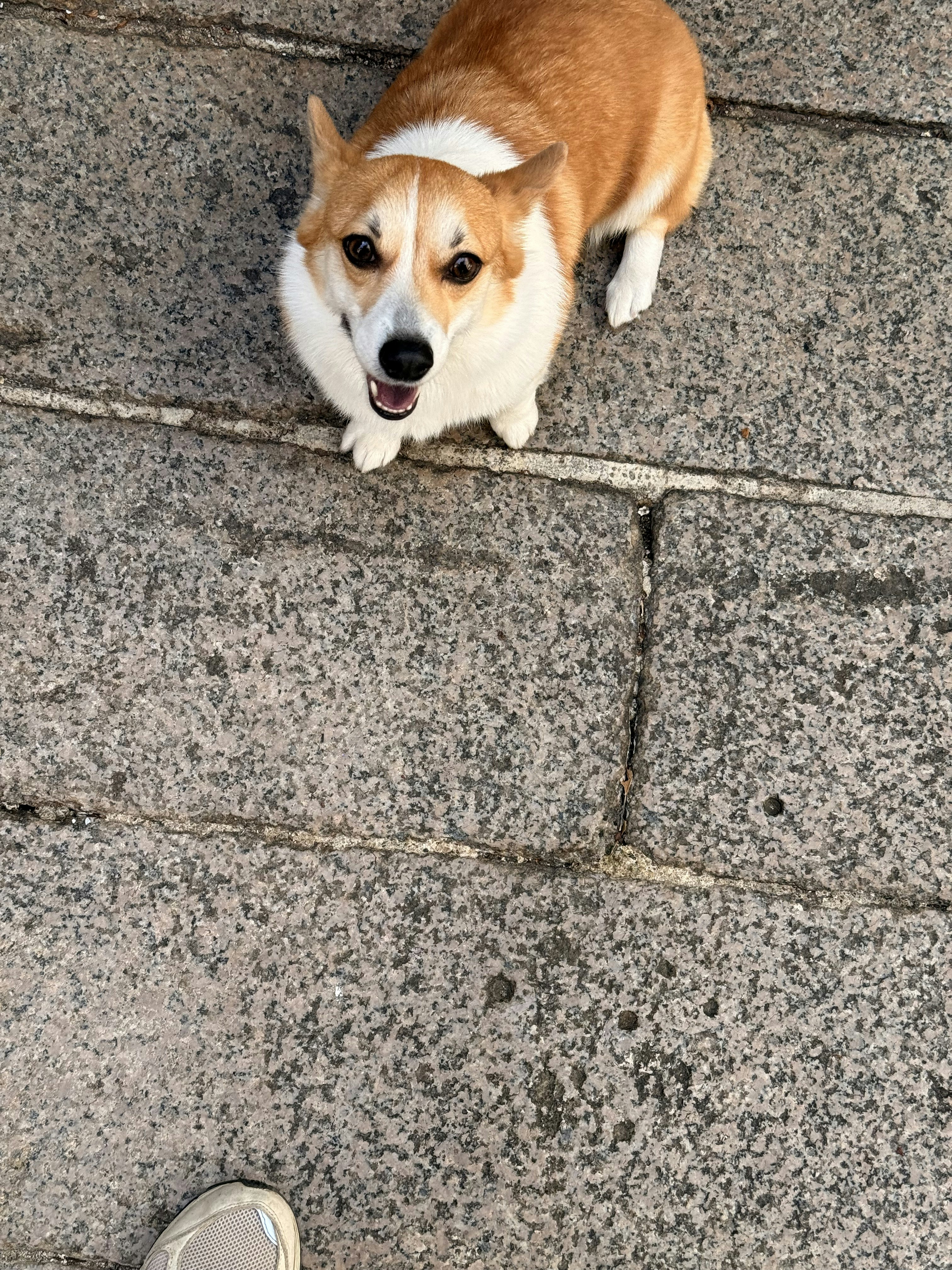 Photo by artemisss666