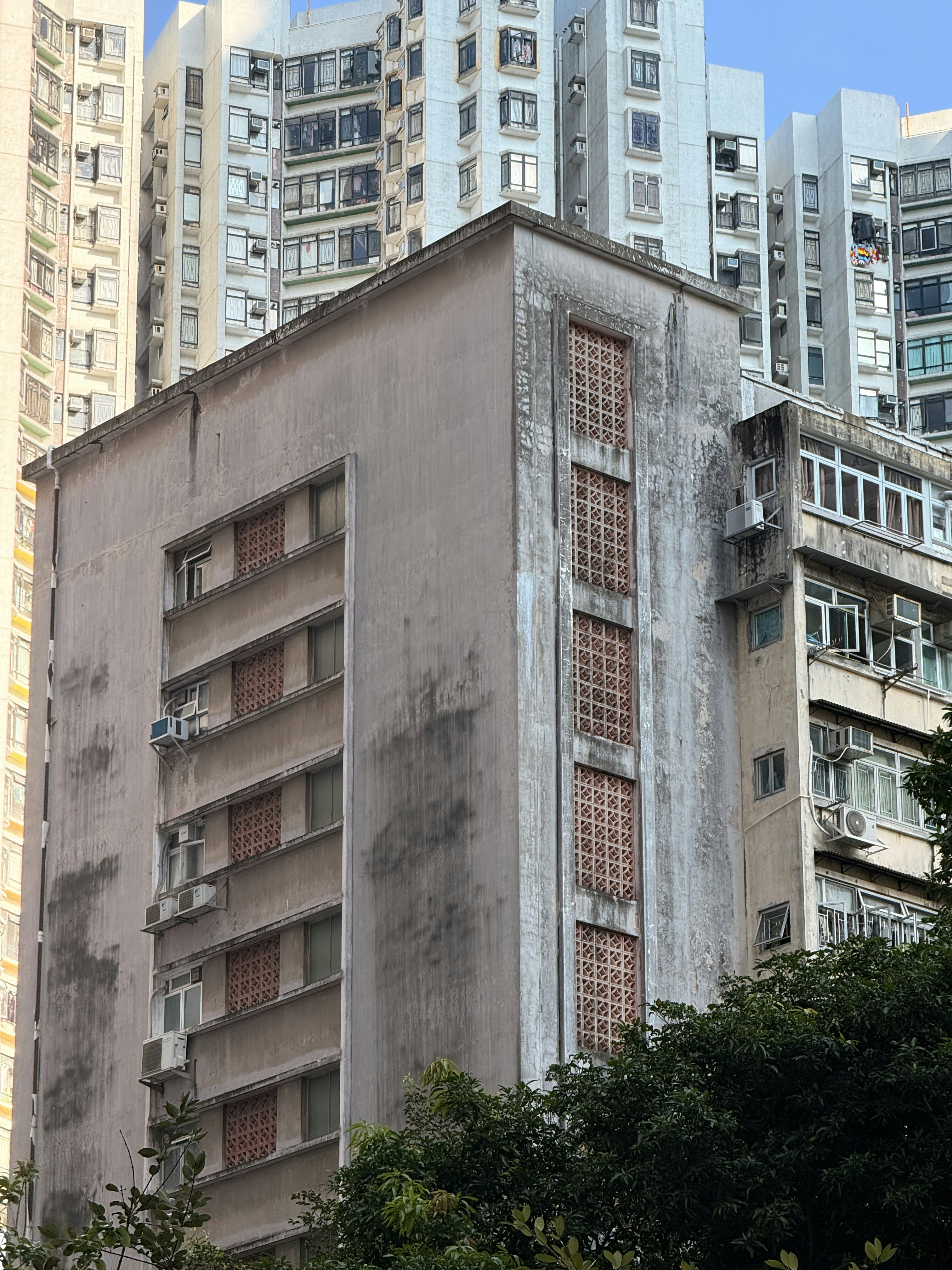 Photo by artemisss666