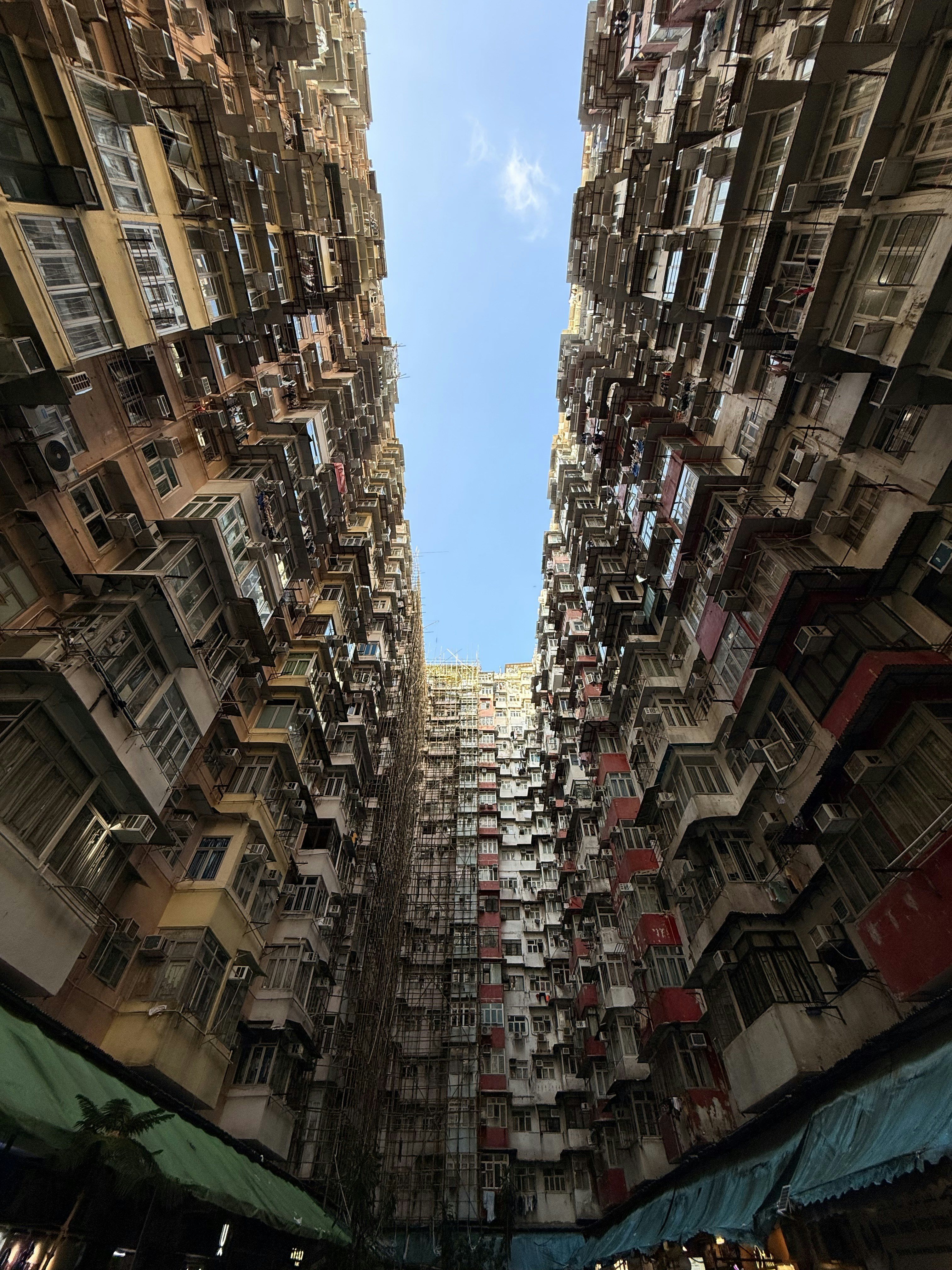 Photo by artemisss666