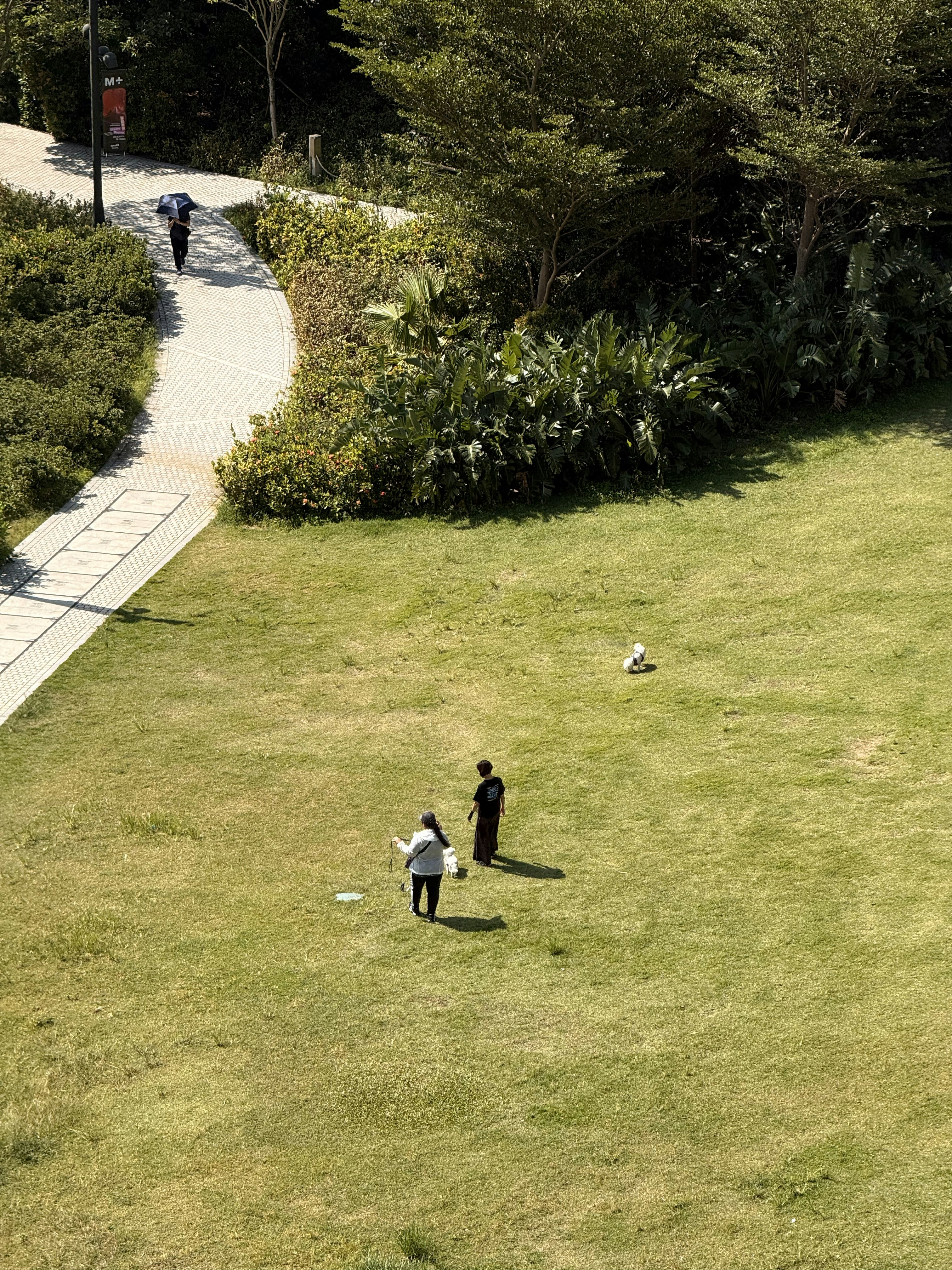 People and a dog in a grassy park area