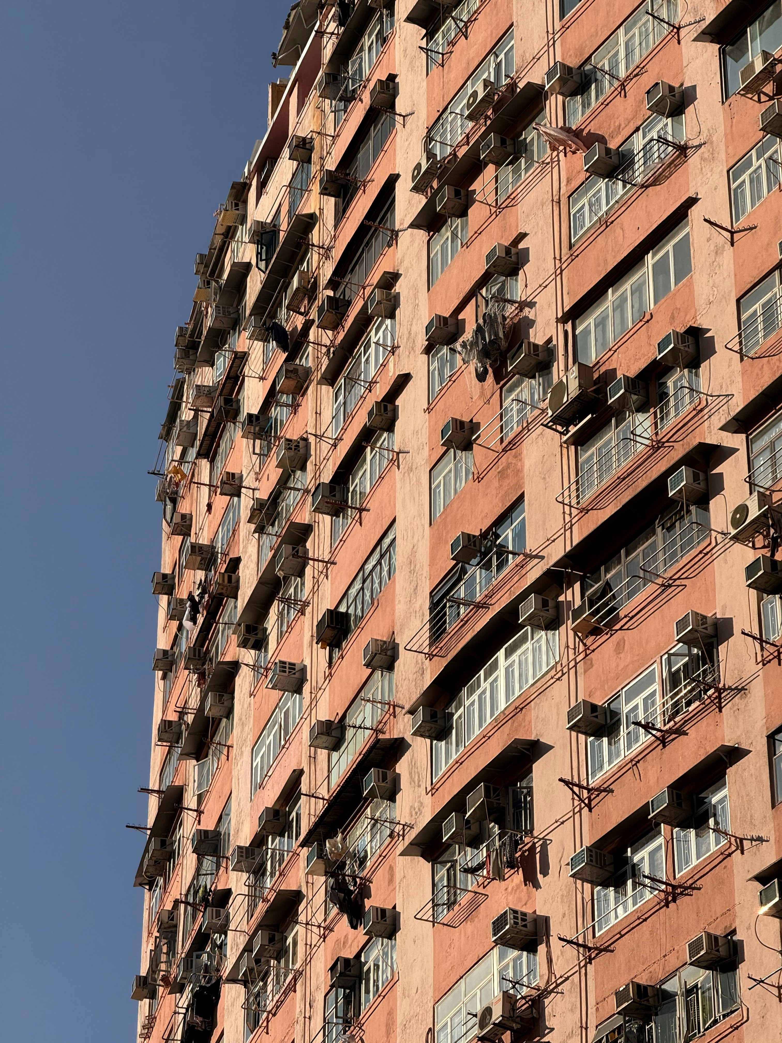 Photo by artemisss666