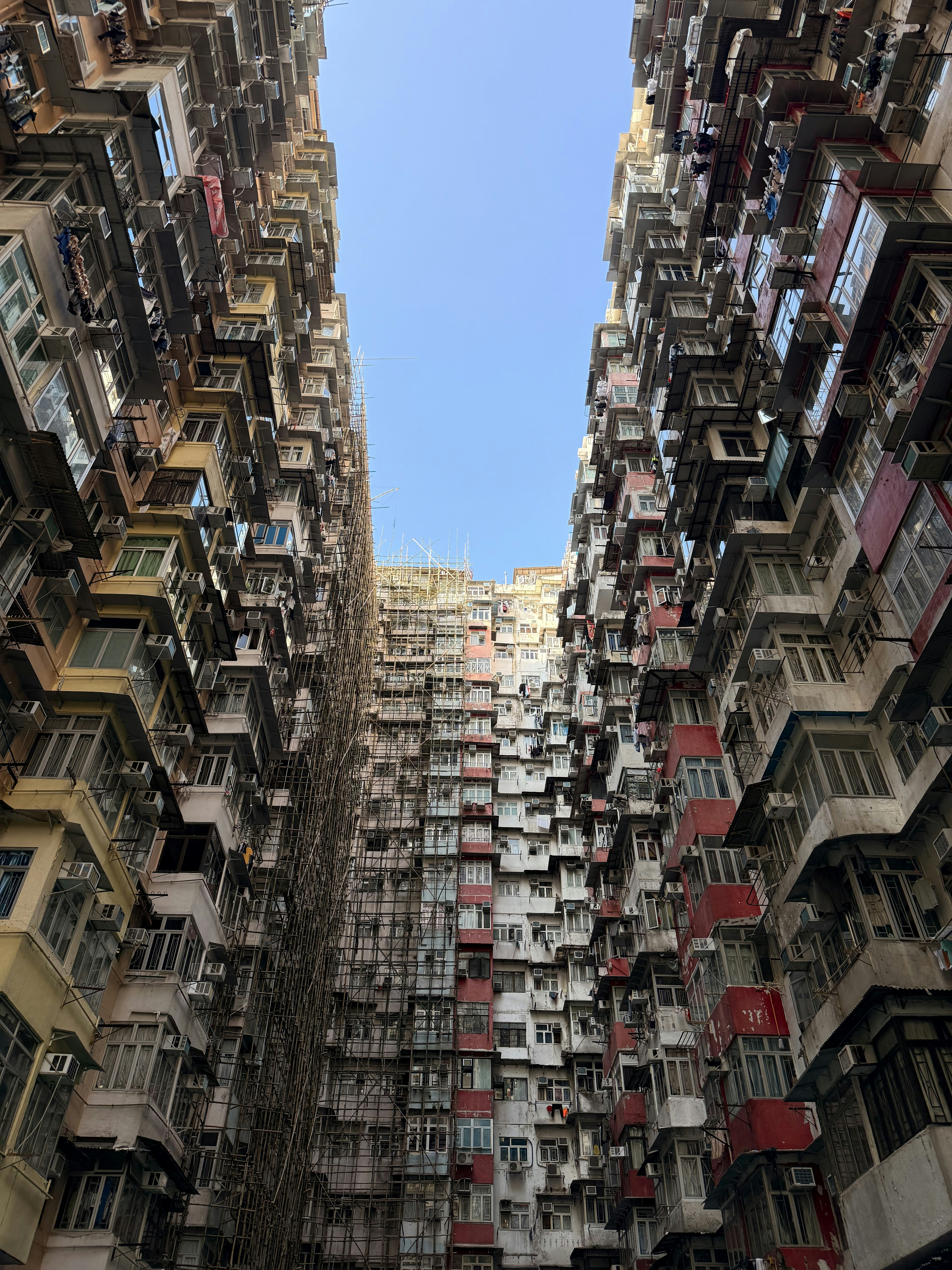 Photo by artemisss666