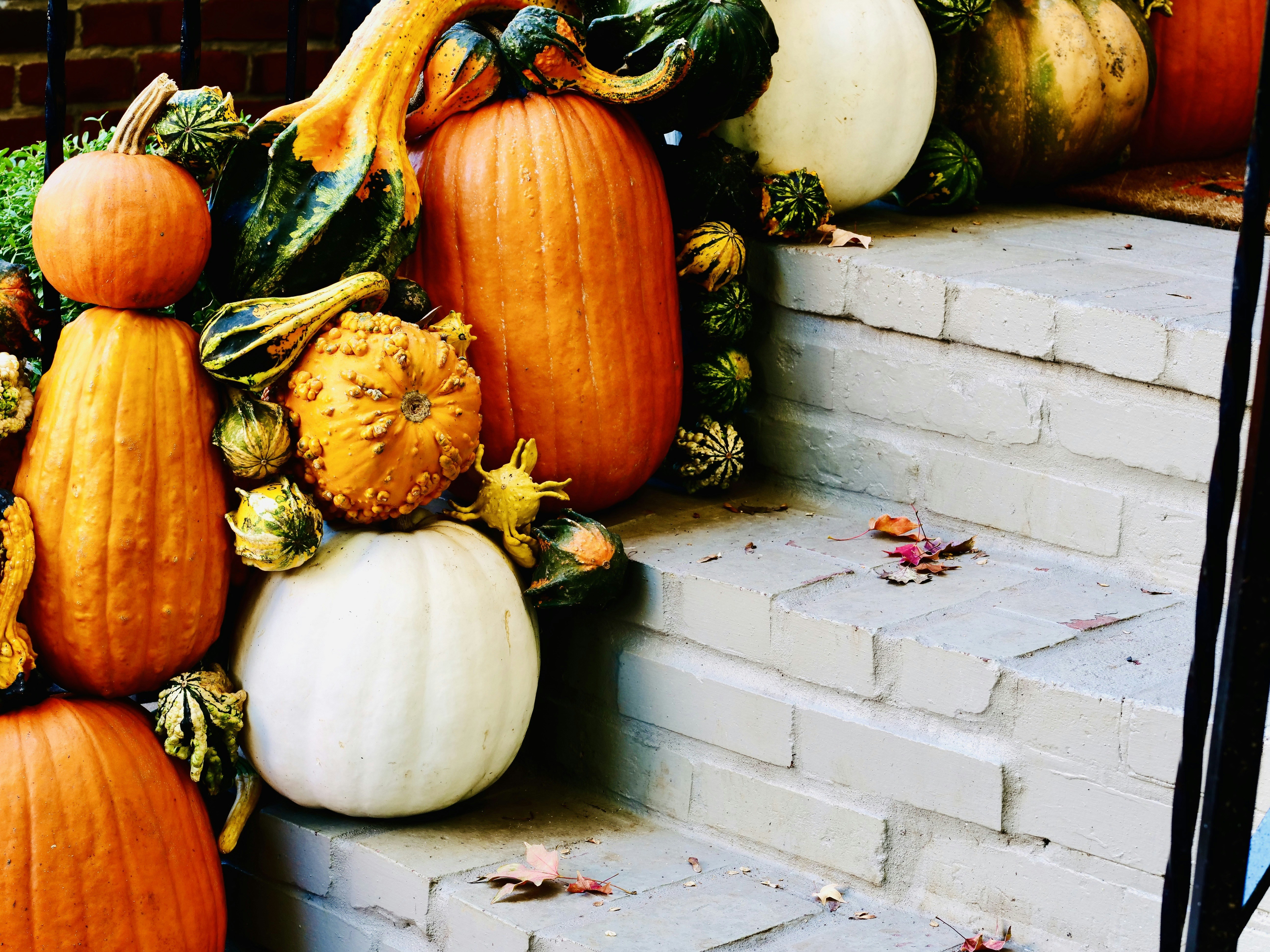 Photo by sschusterphotoart