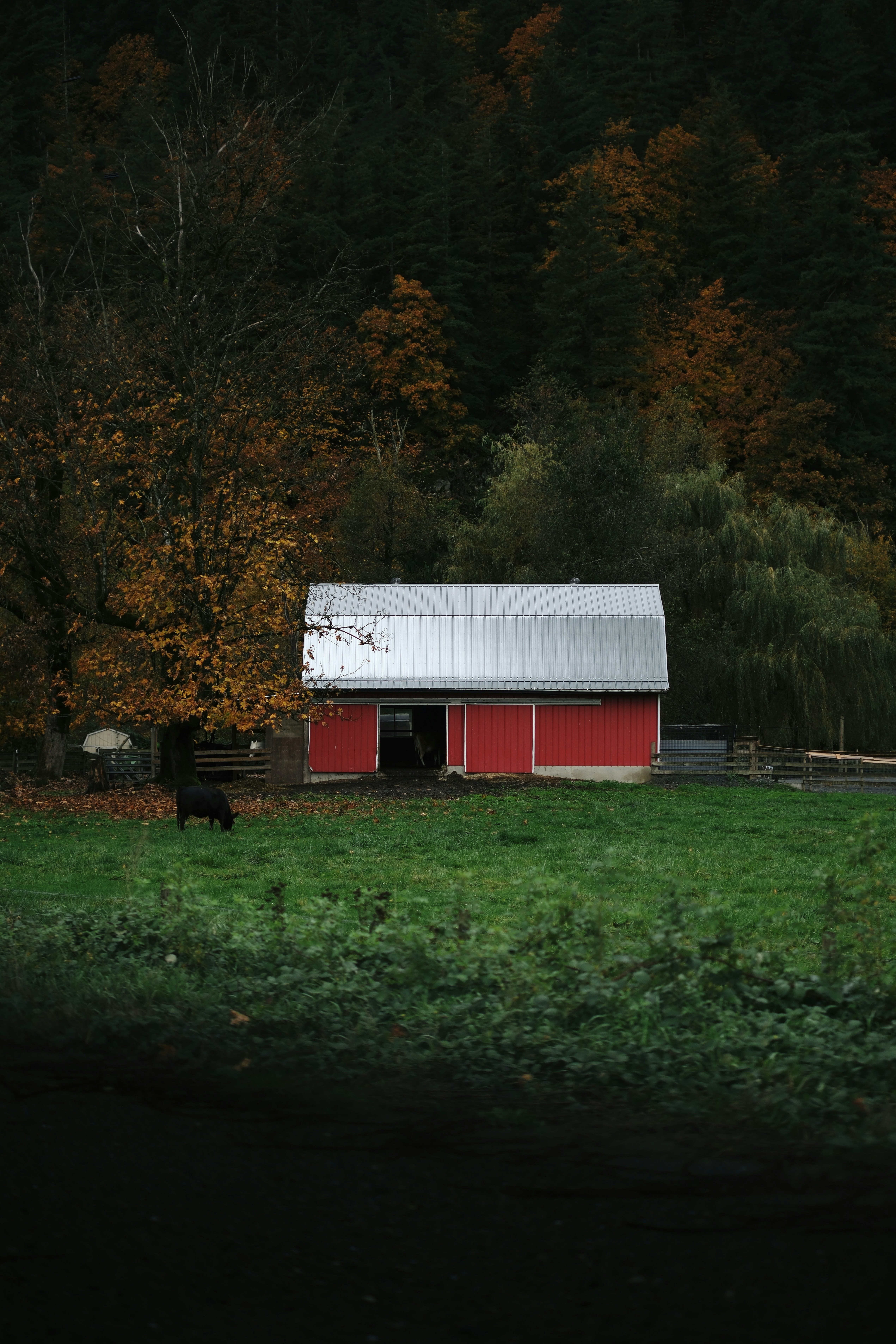 farmhouse office wallpaper, wallpaper, Farmhouse Home Office: Inspiring Renovation Ideas 5