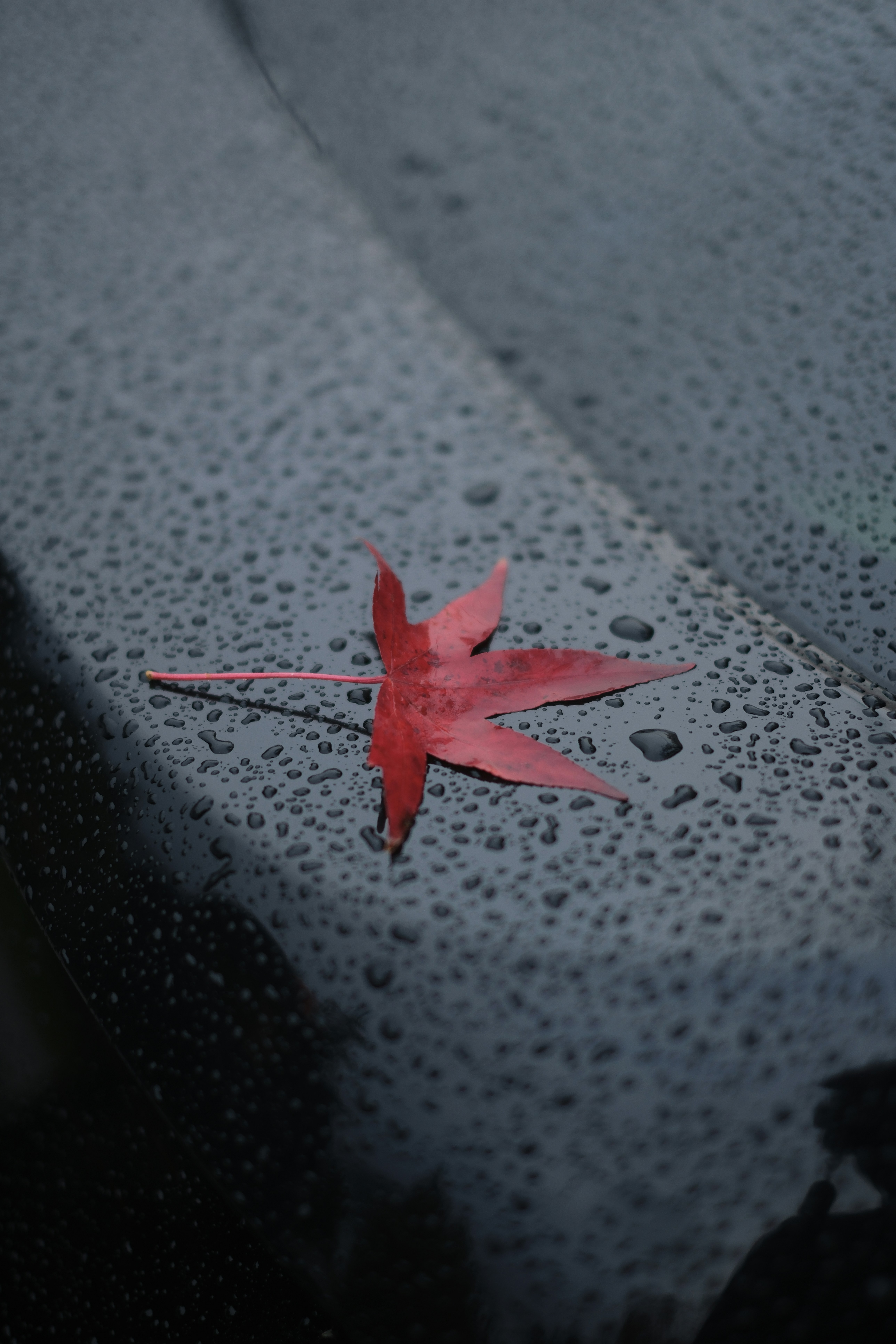 Daily Productive Sharing 1349 - The Map Is Not the Territory