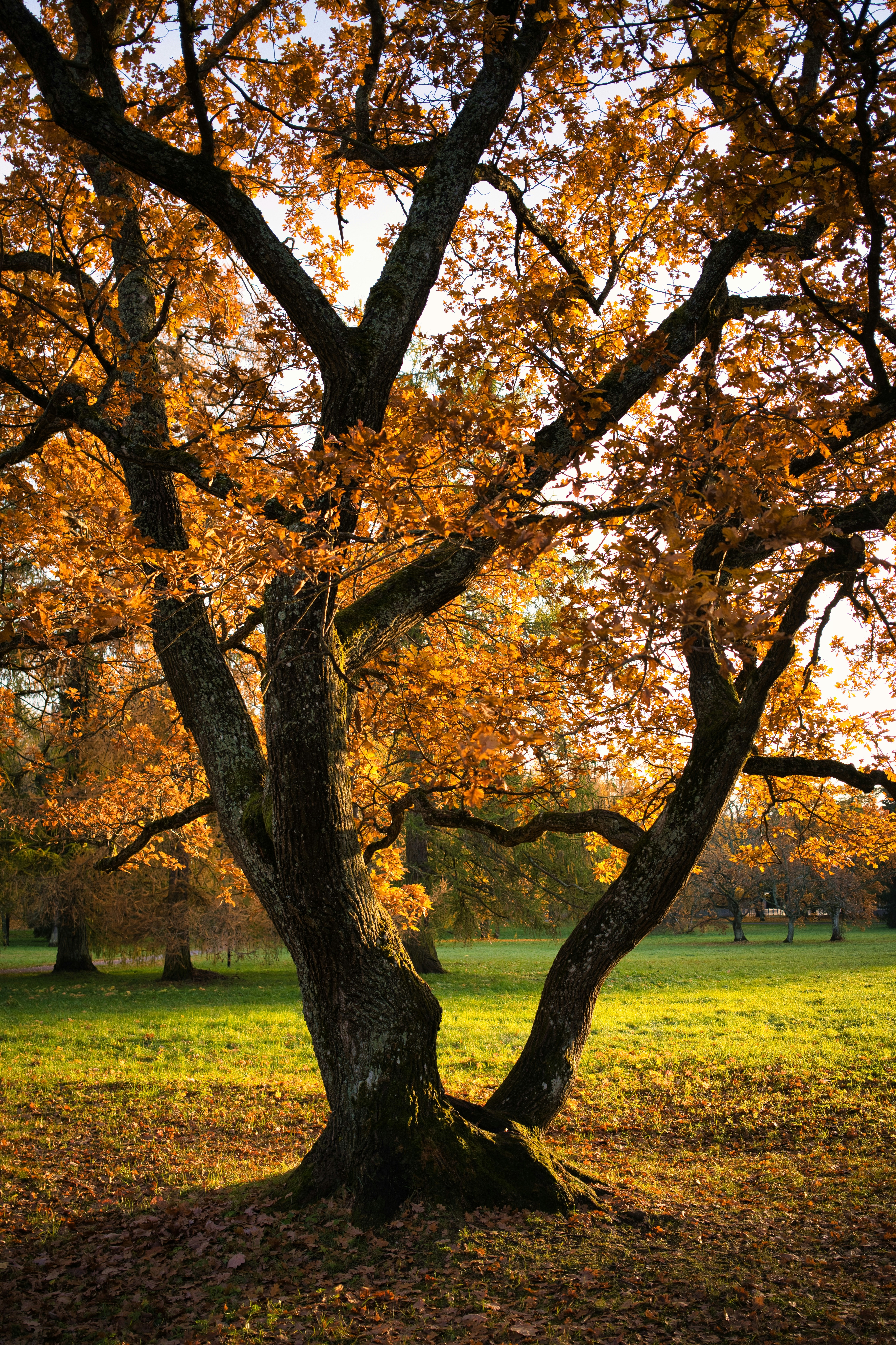 Photo by maksimshutov