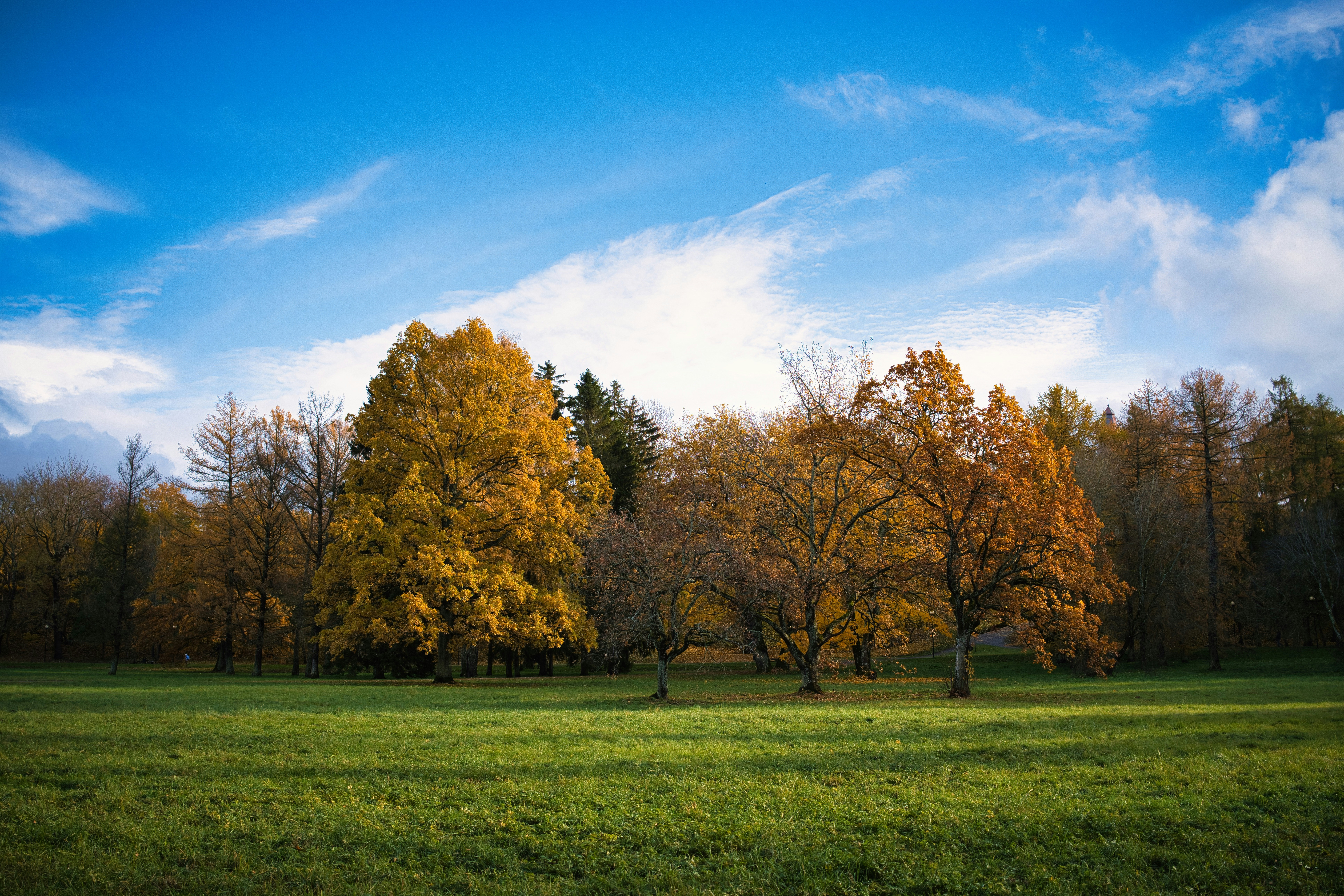 Photo by maksimshutov