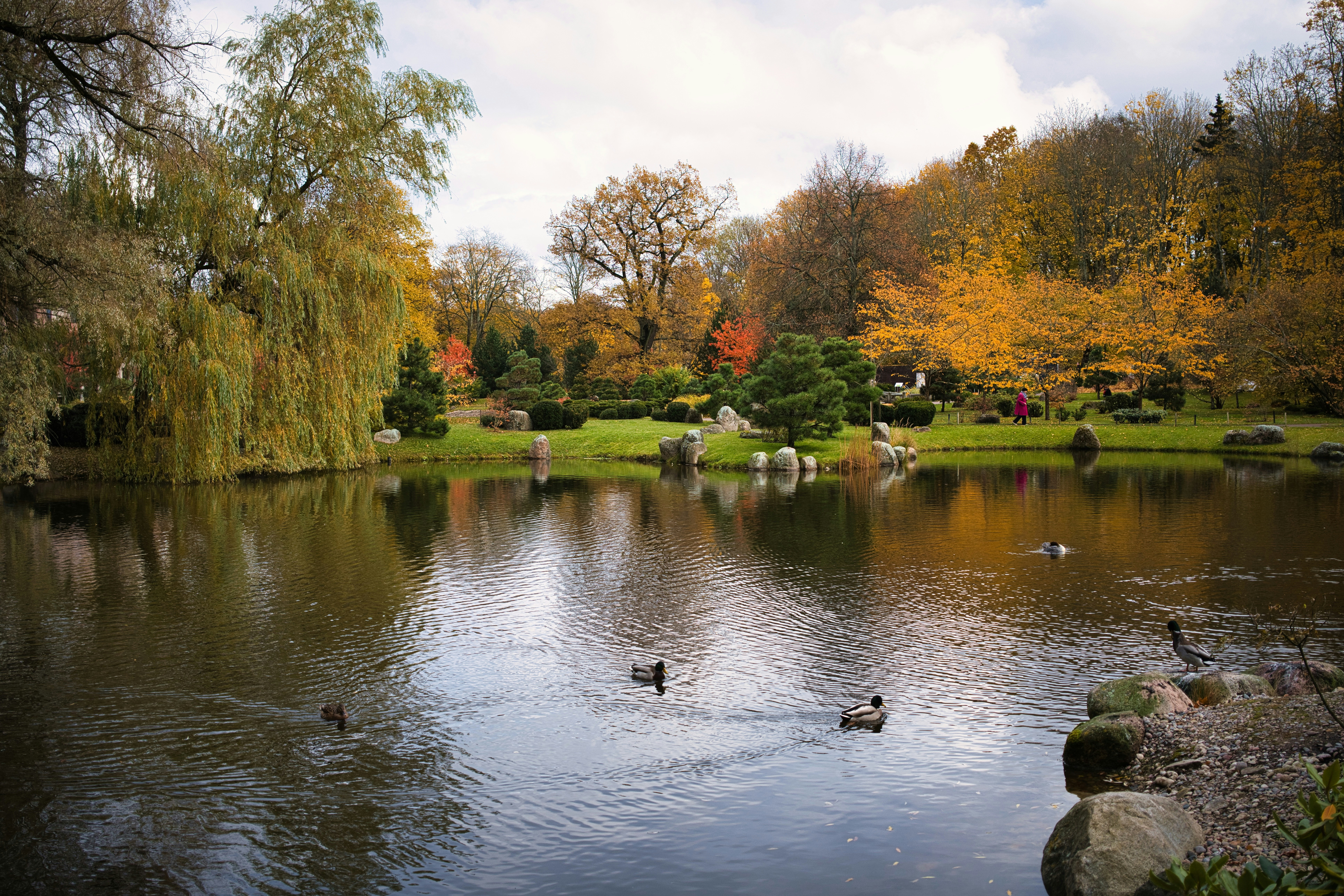 Photo by maksimshutov