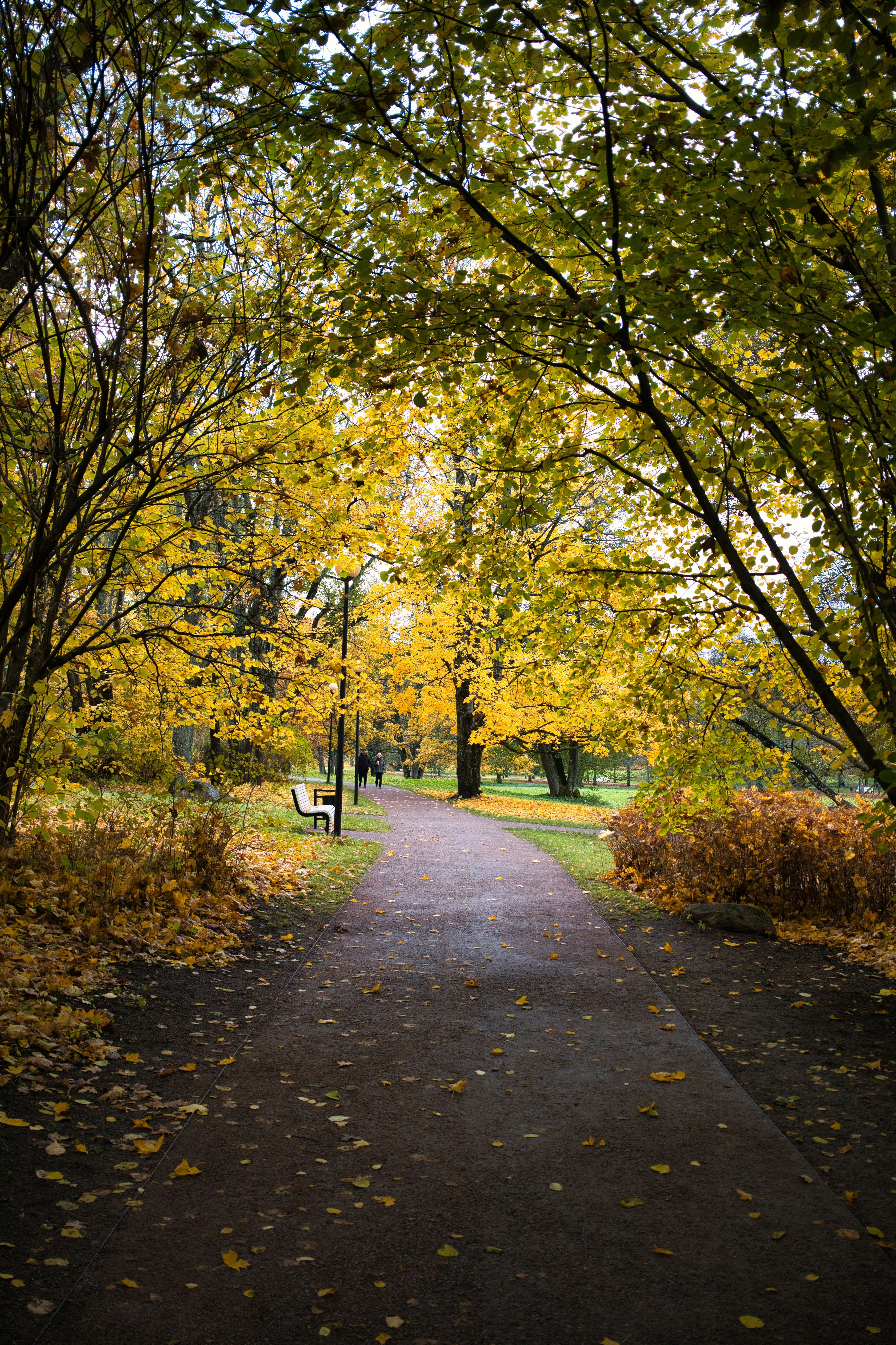 Photo by maksimshutov