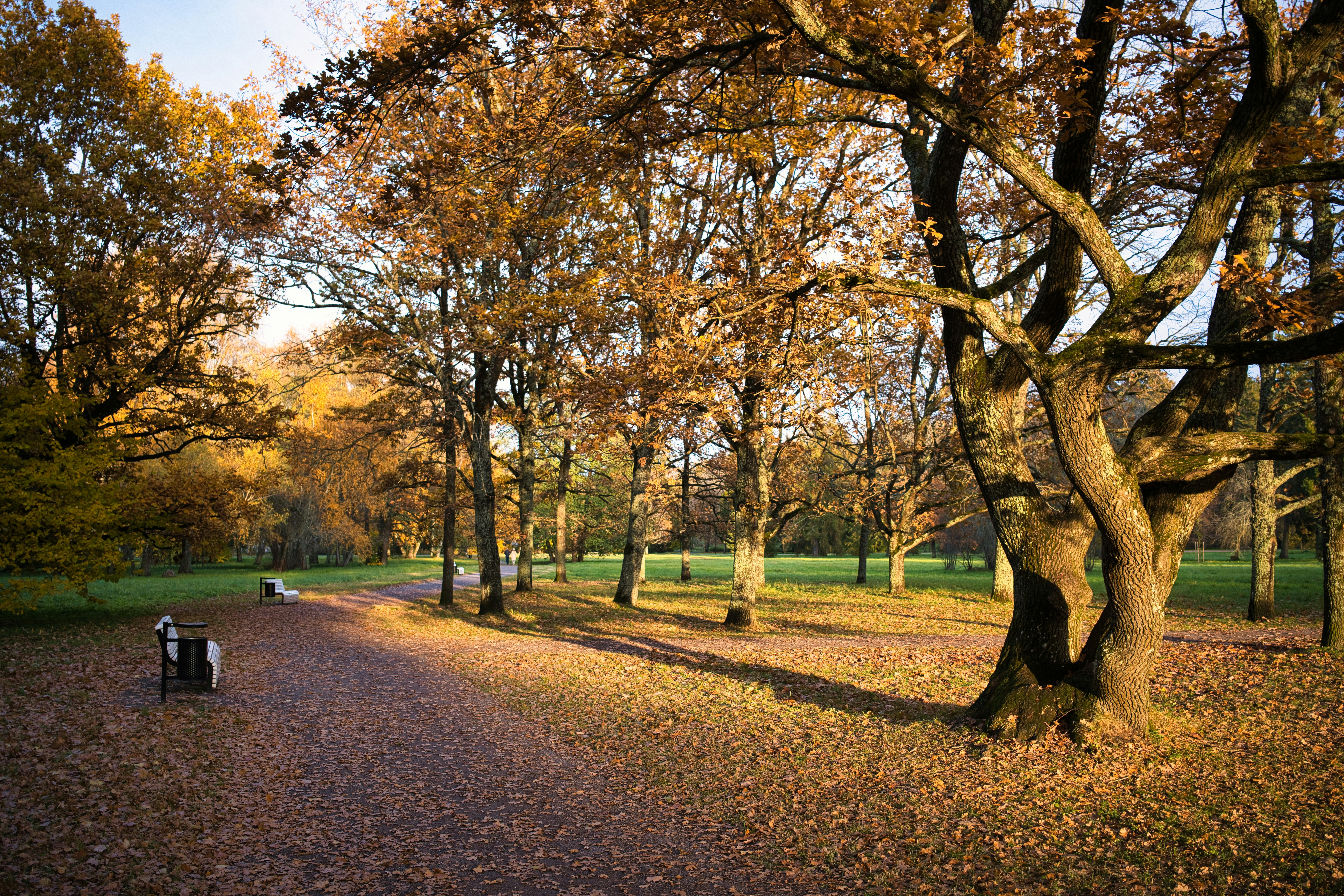 Photo by maksimshutov