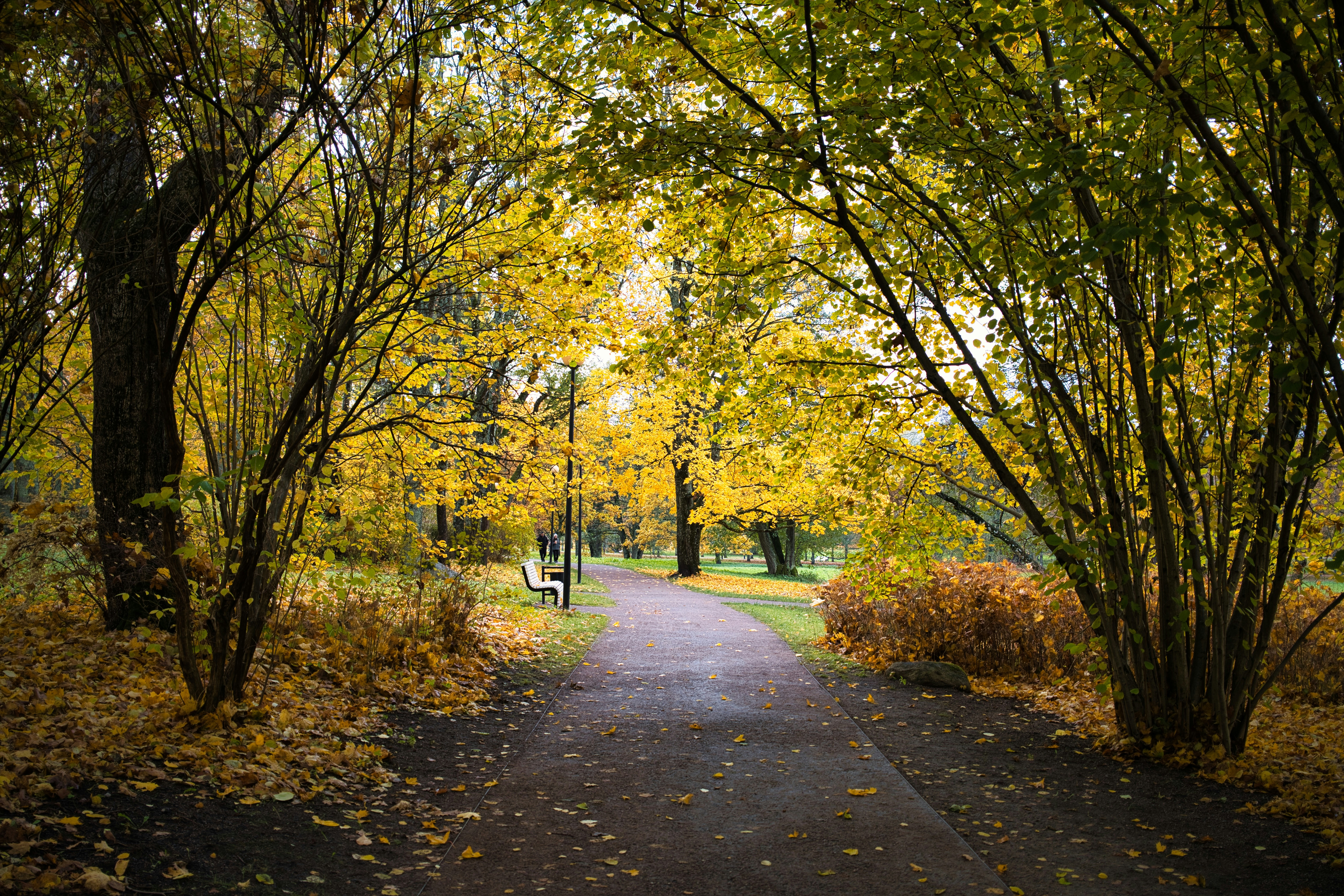 Photo by maksimshutov