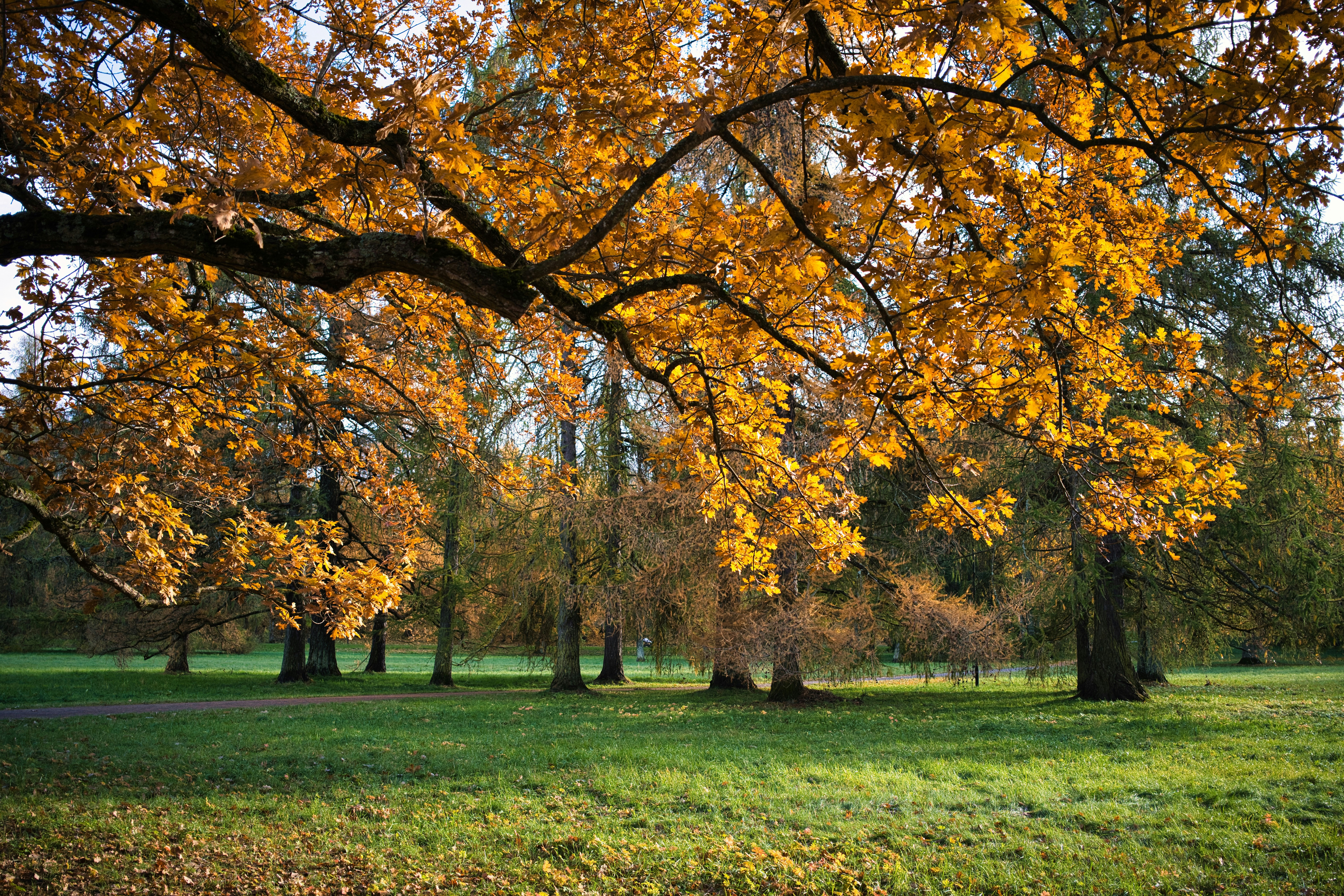 Photo by maksimshutov