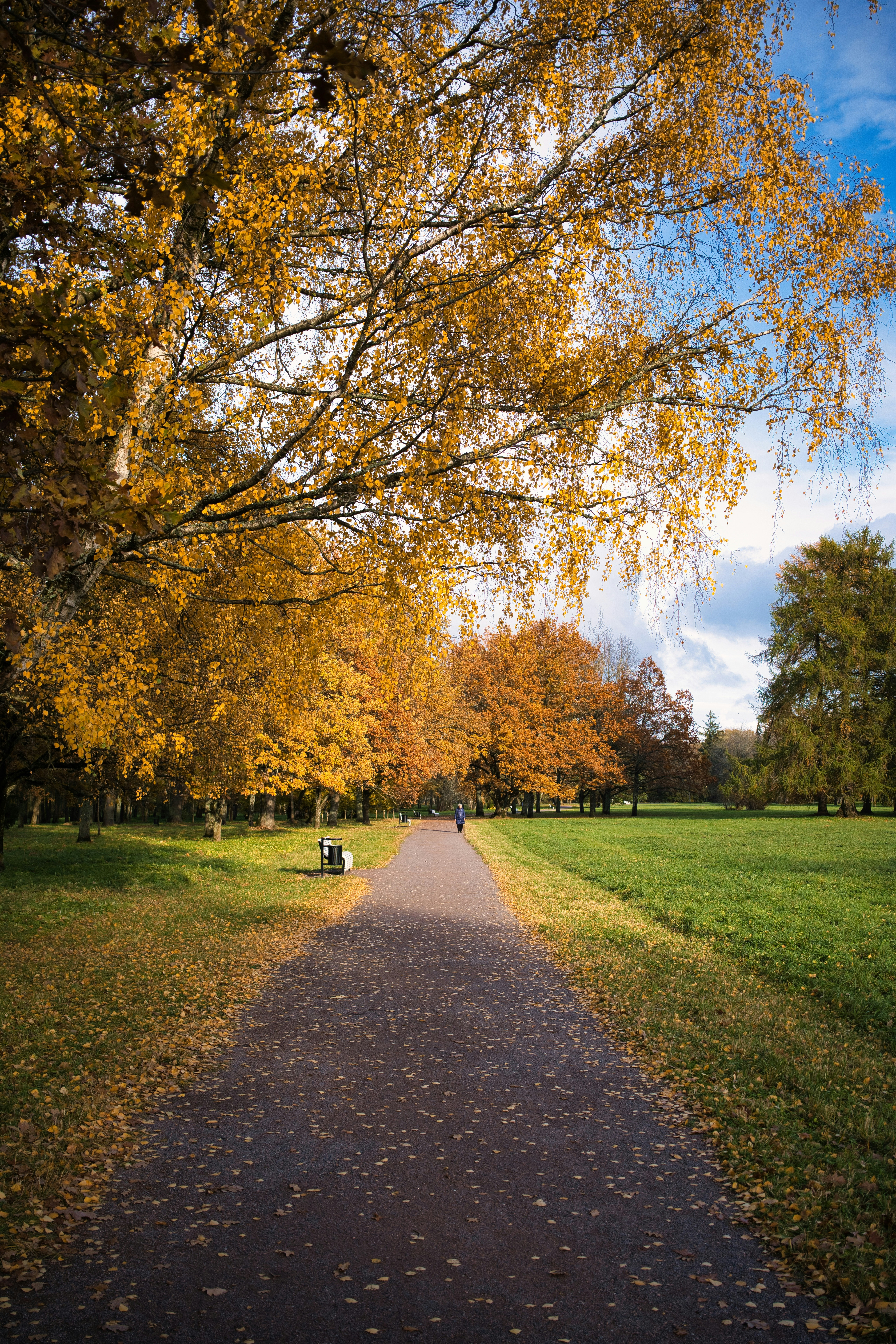 Photo by maksimshutov