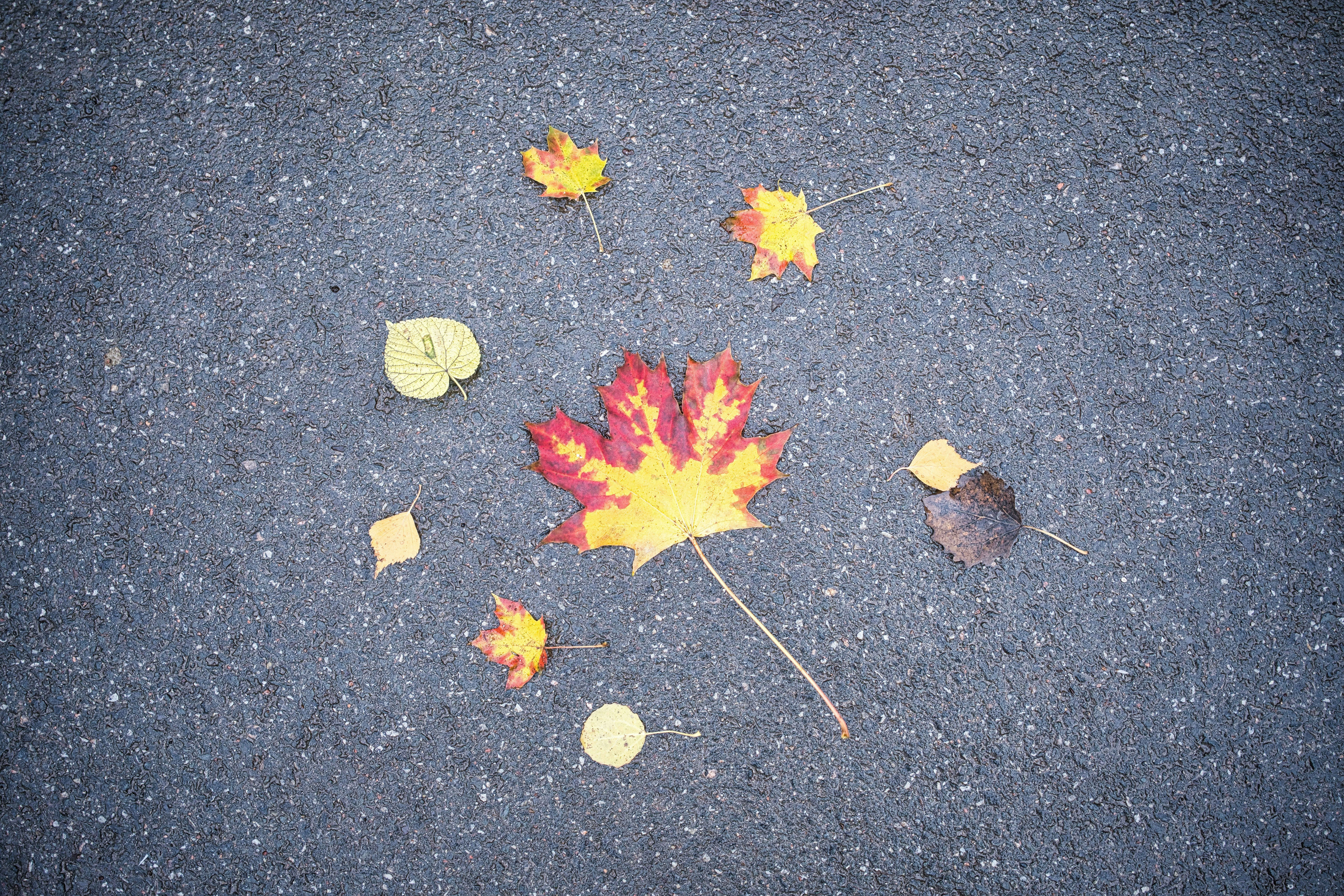 Photo by maksimshutov