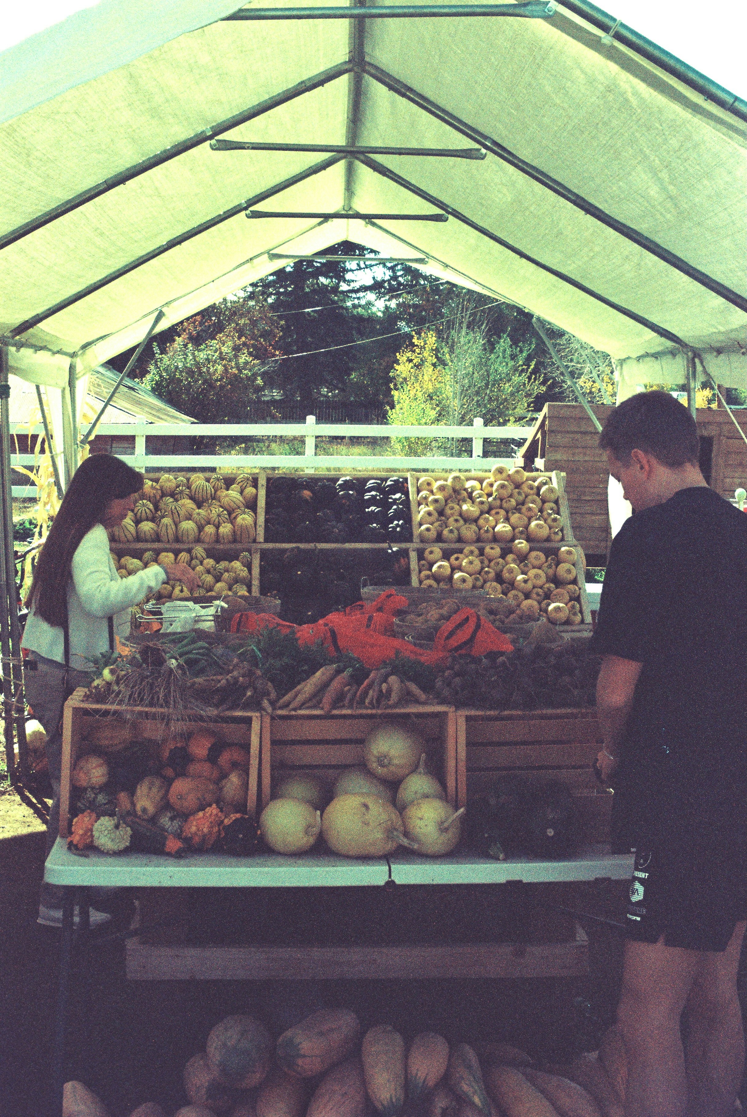 Satellite Beach Farmers Market