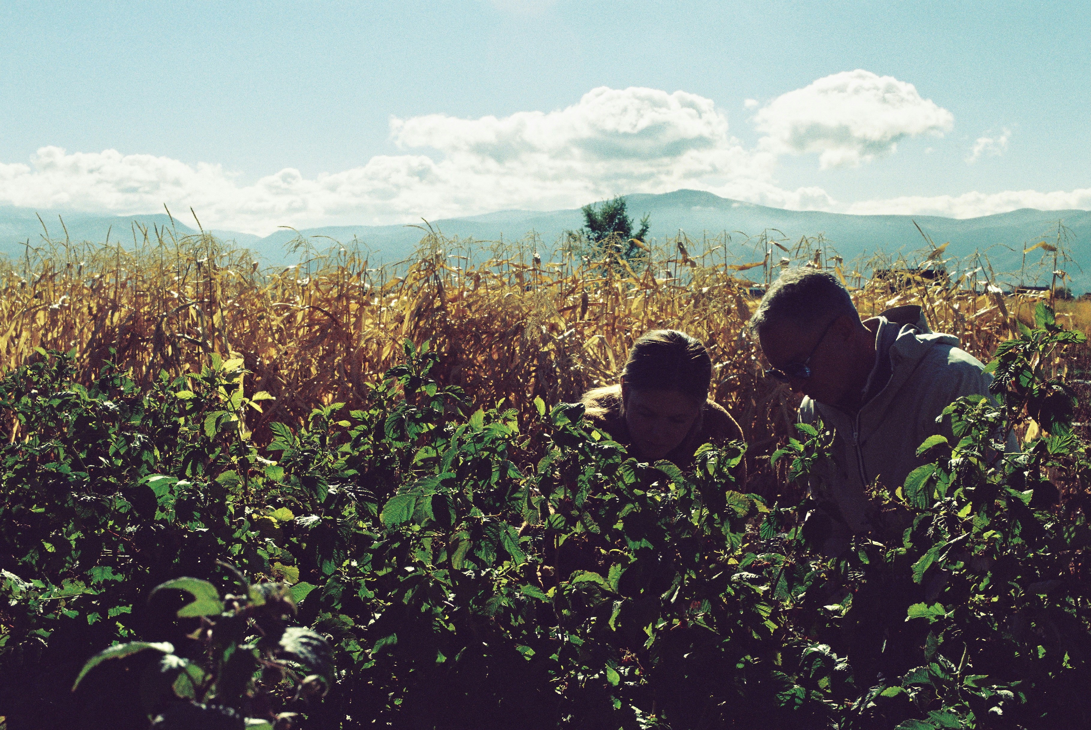 Photo by theguccer2100