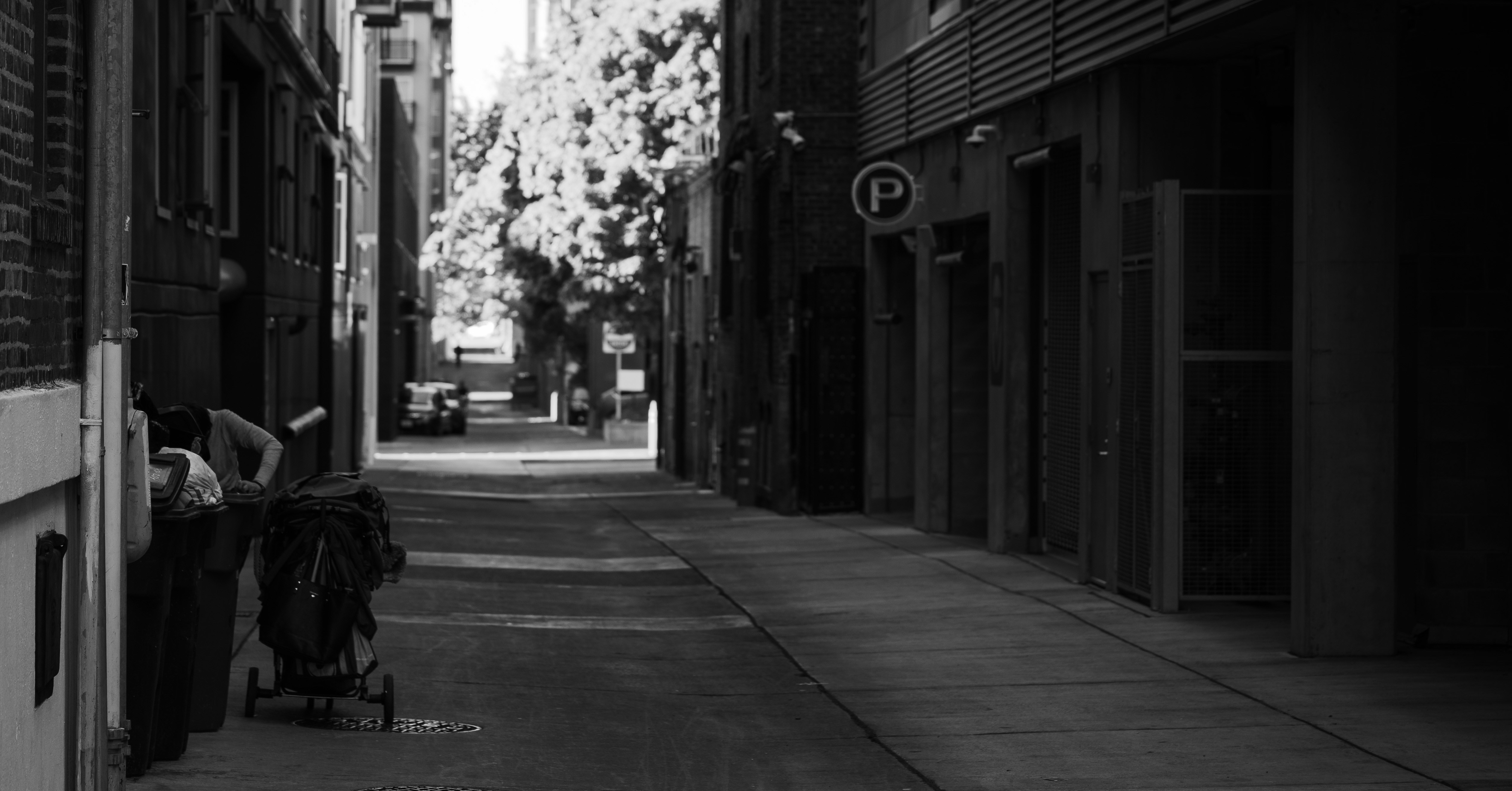 Photo by danielesteves