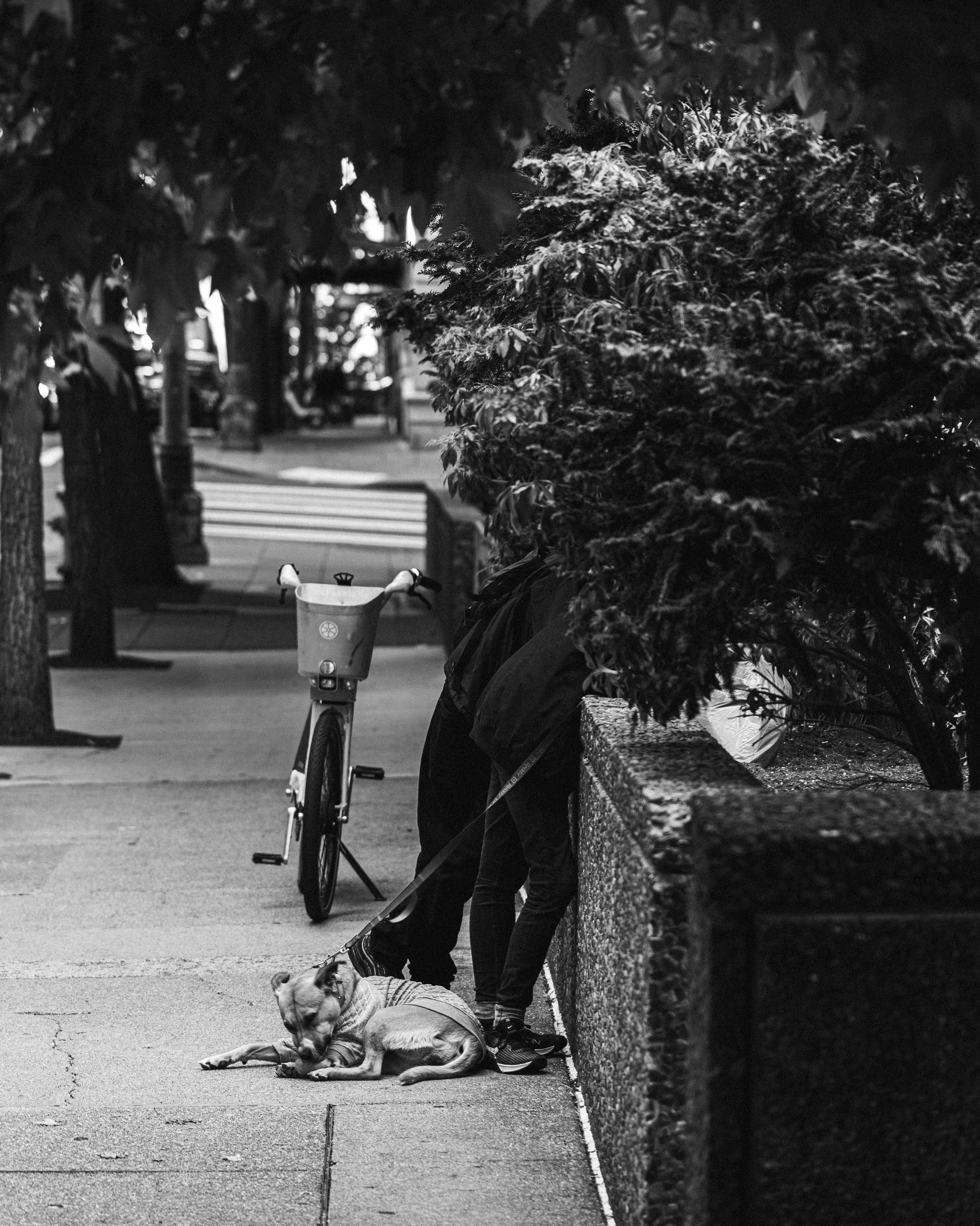 Photo by danielesteves