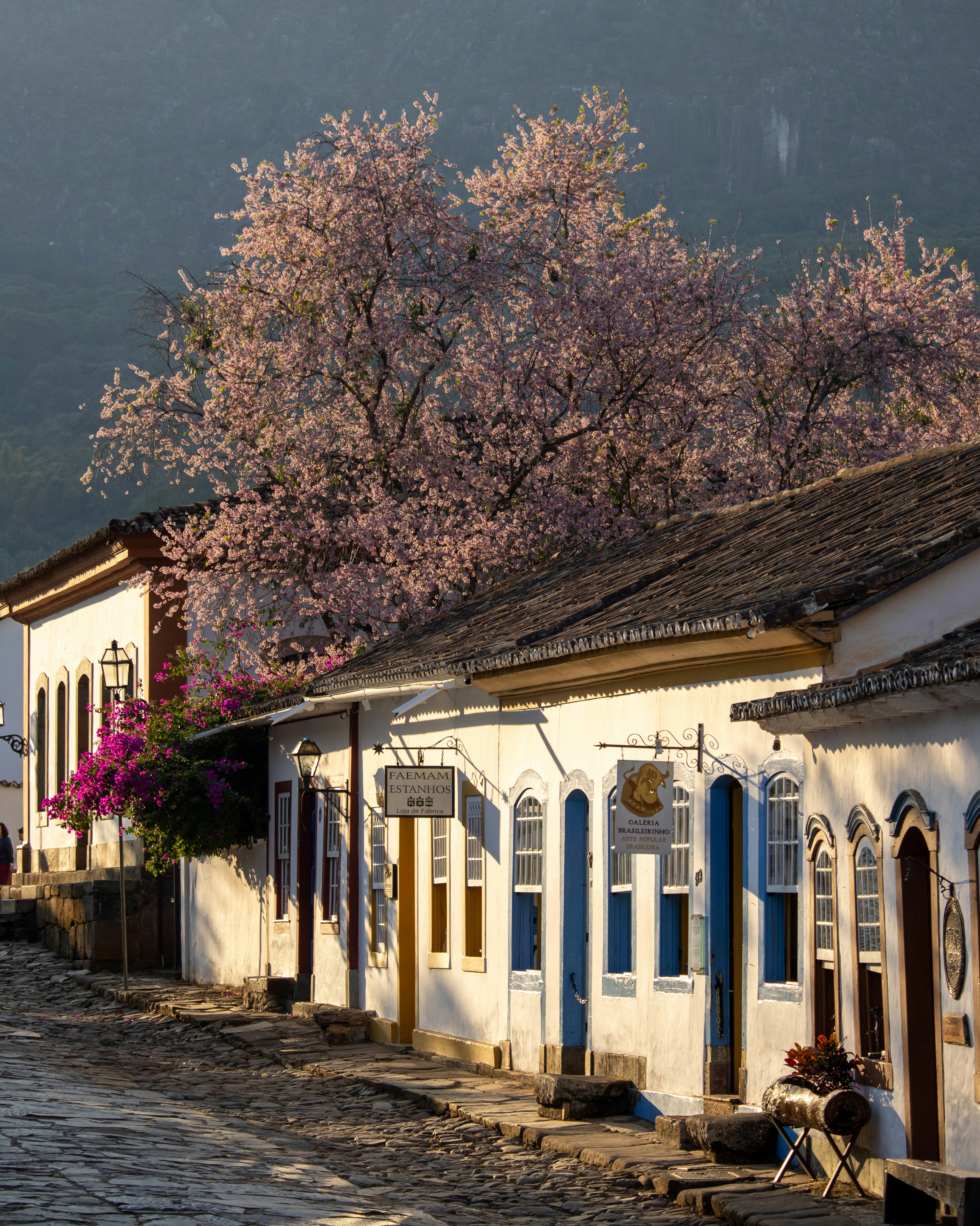 Photo by danielesteves