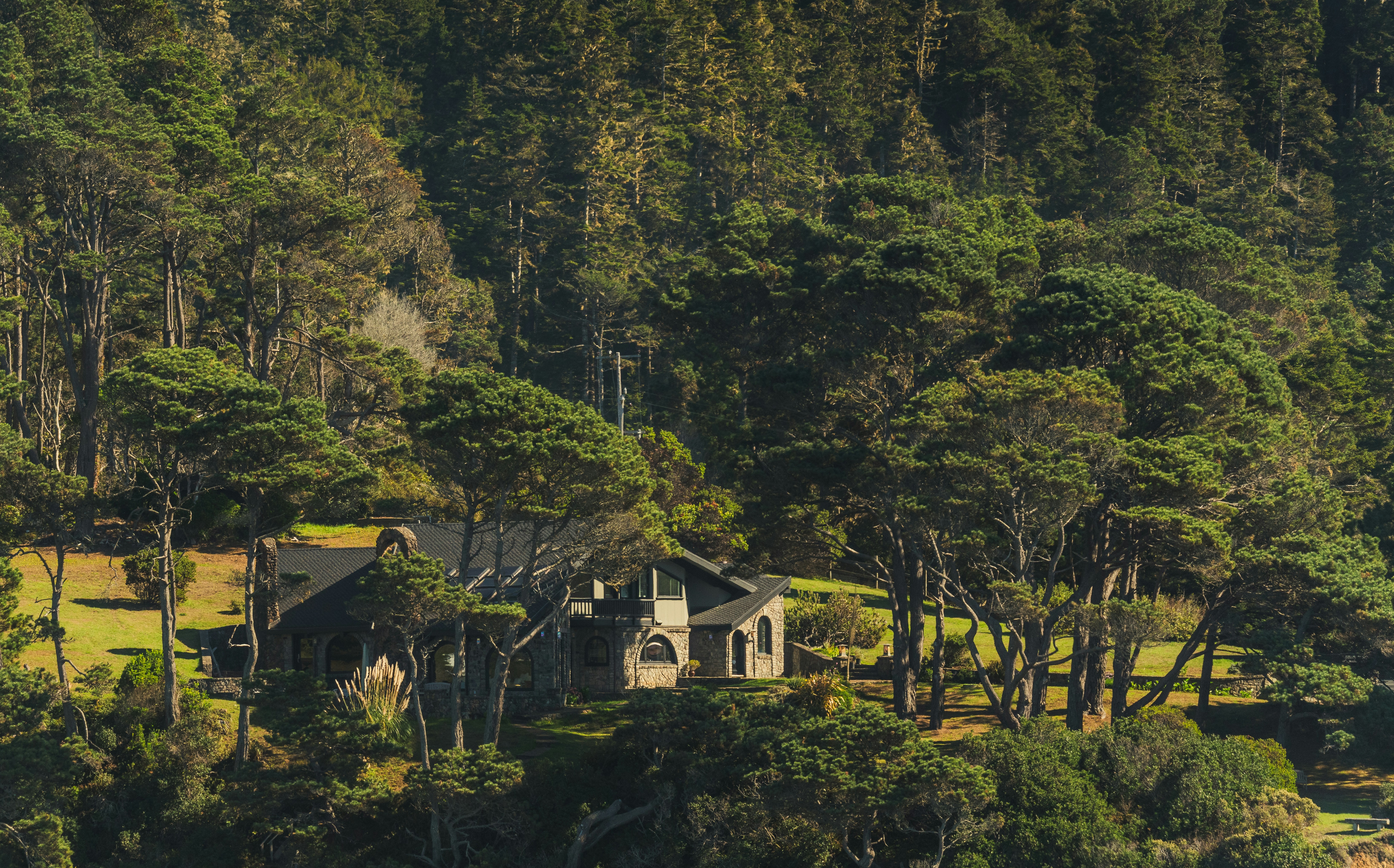 Photo by dzngriffin