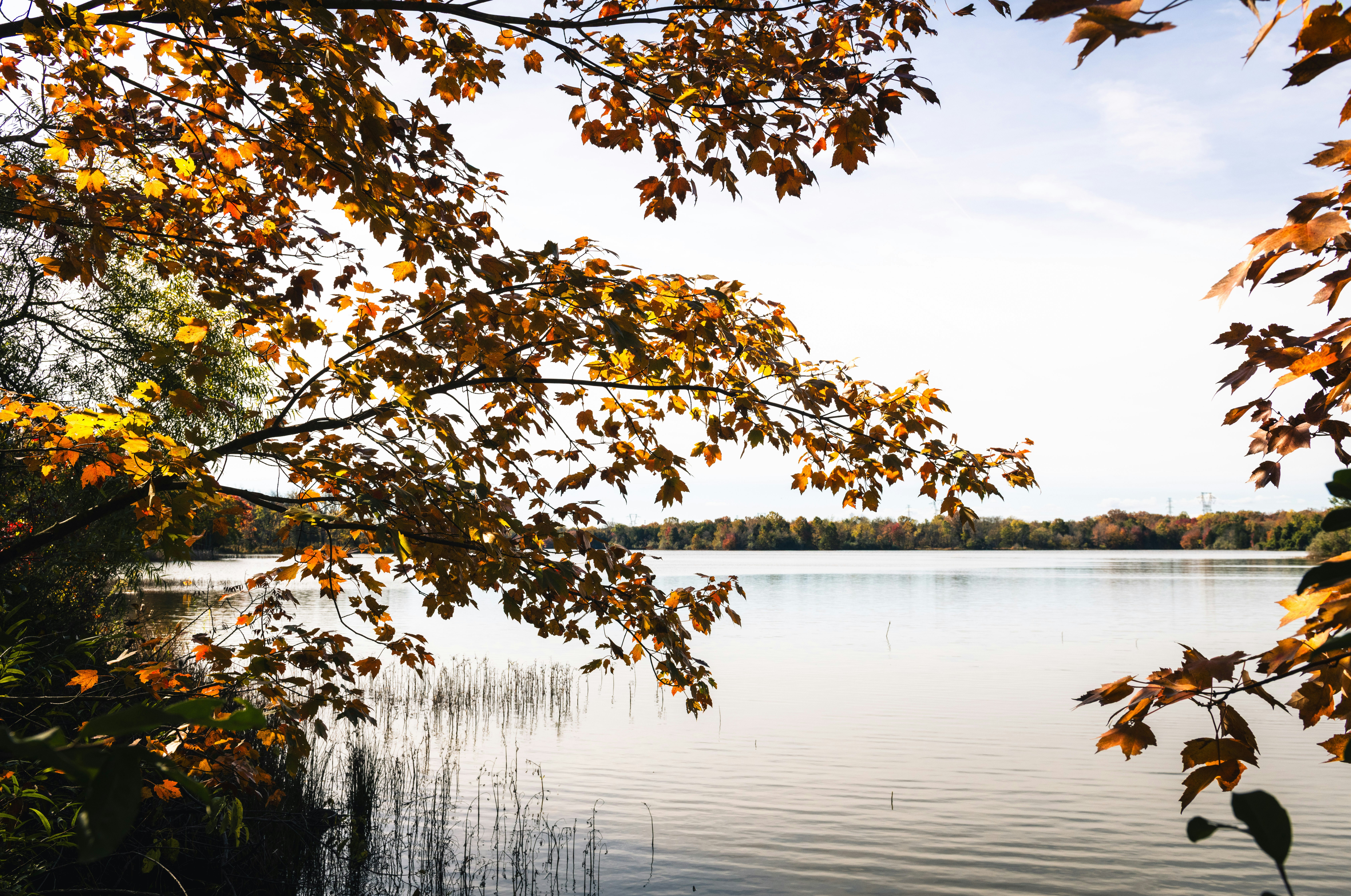 Photo by sriniunsplash